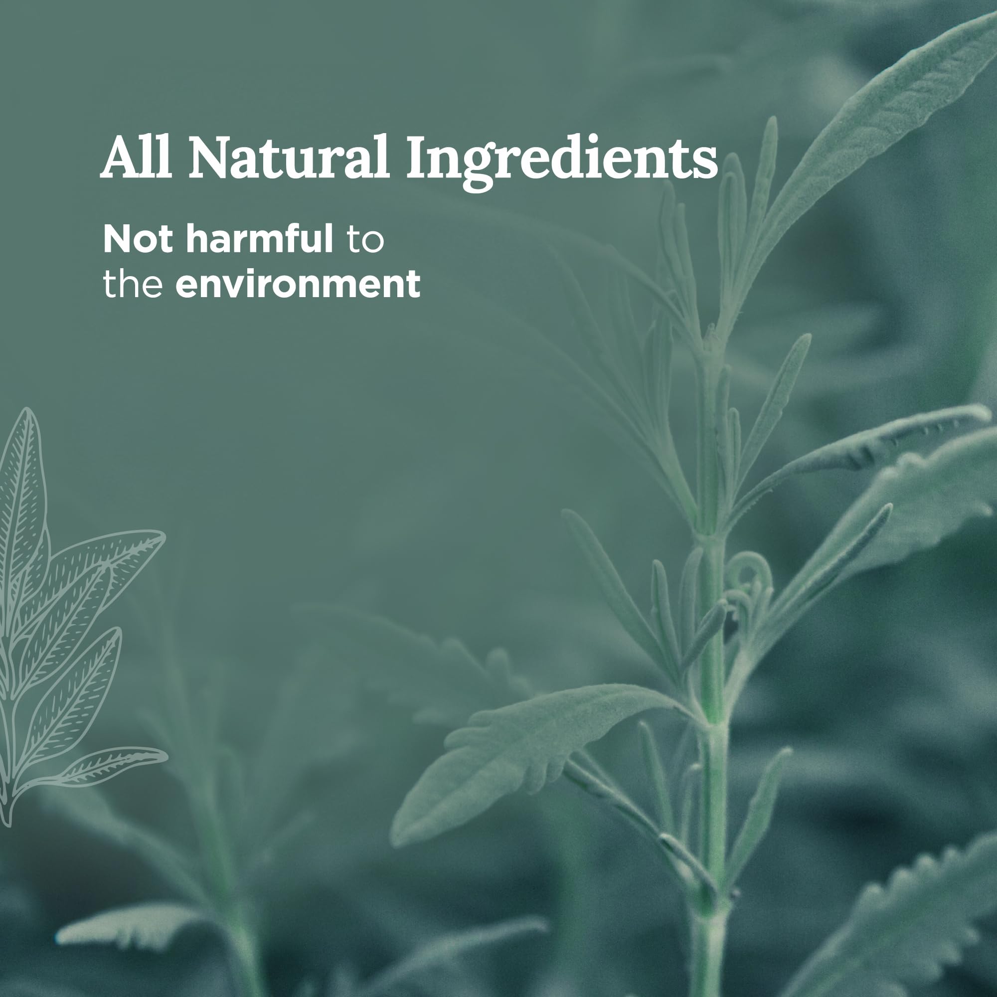 Magnificent 101 Bad Vibes Remover Aromatherapy Candle in 6-oz. Tin Holder: 100% Natural Soy Wax with Pure Sage Leaves & Essentia