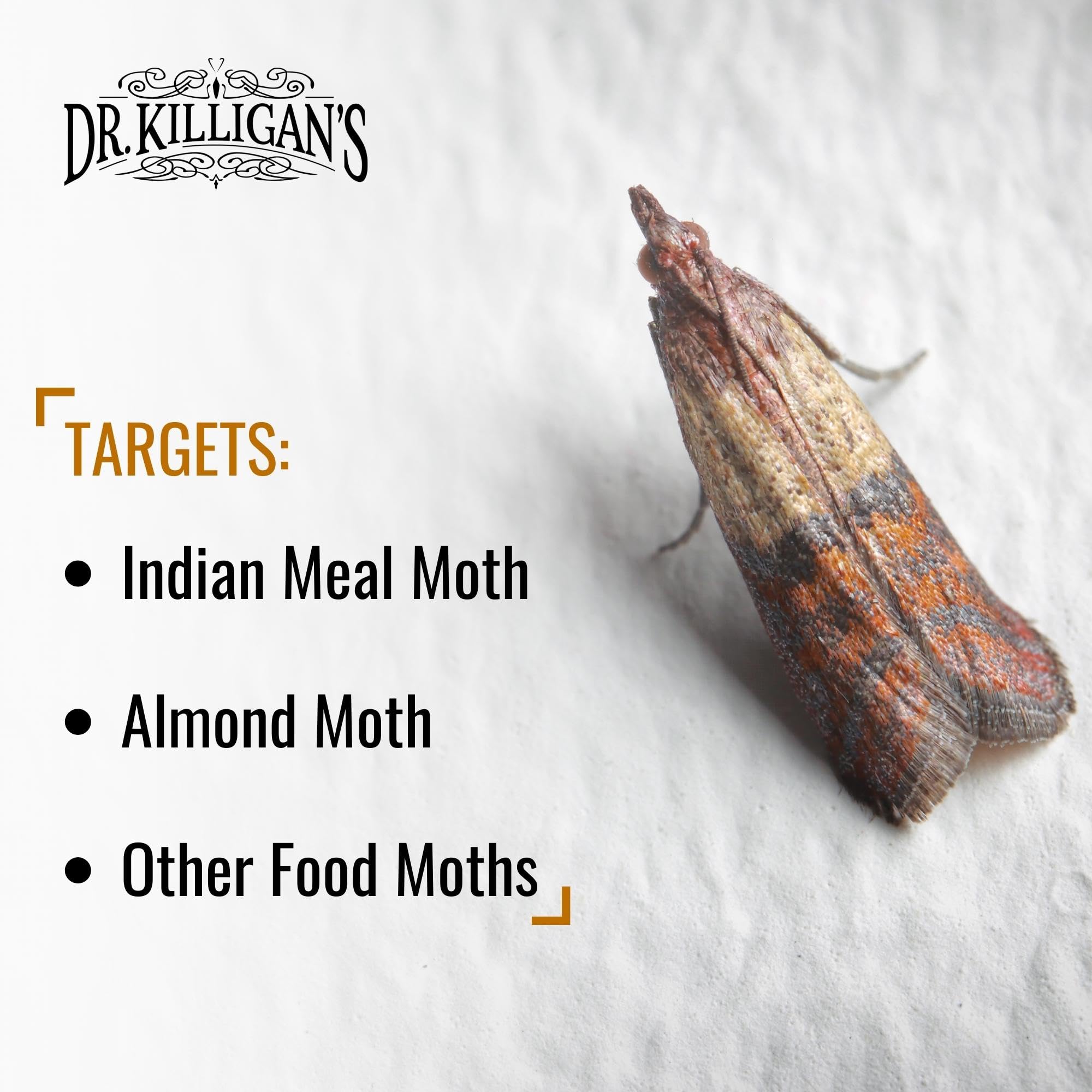 Dr. Killigan'S Premium Pantry Moth Traps With Pheromones Prime, Indian Meal Moth Traps For House, How To Get Rid Of Moths In Hou