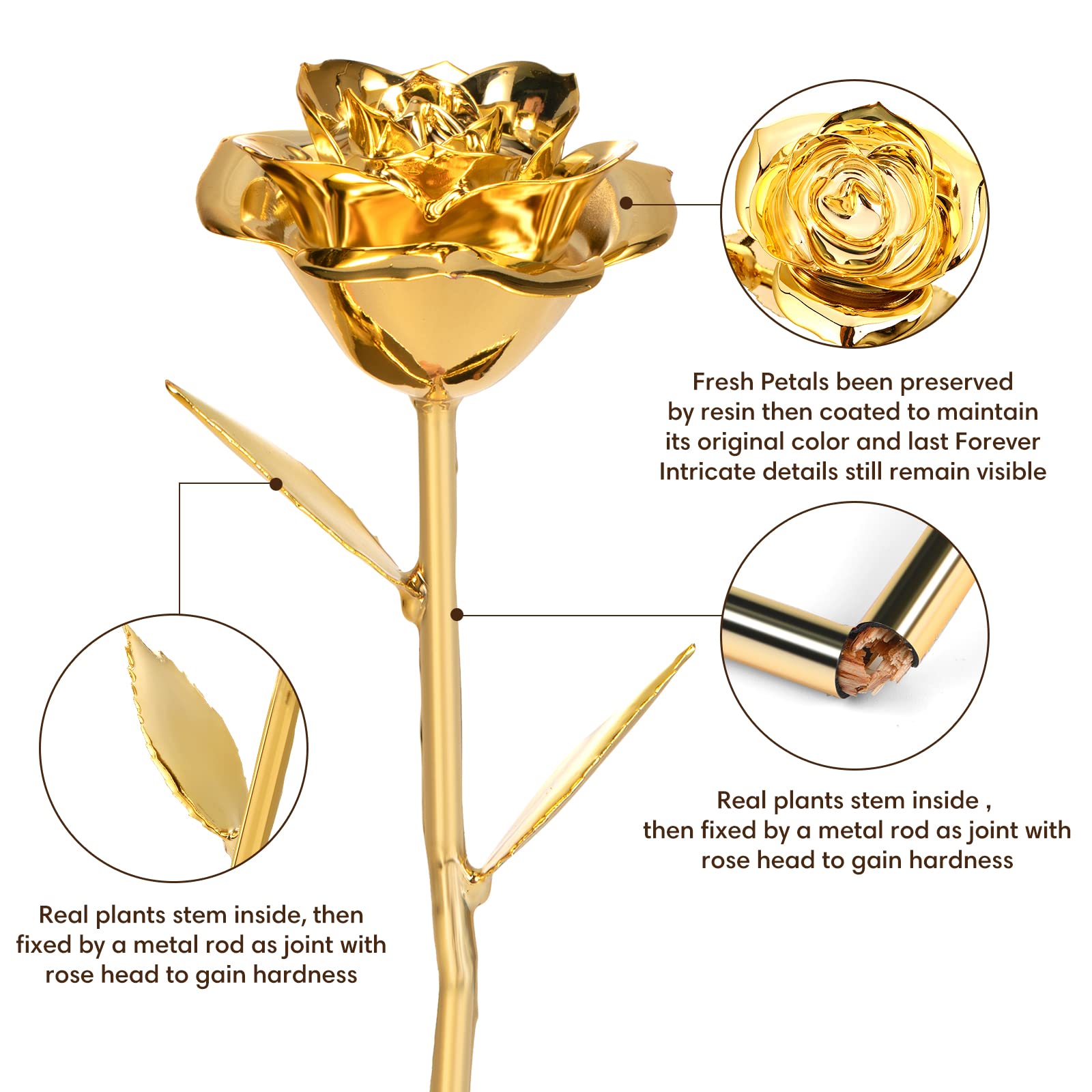 Anthonic Gold Dipped Rose Real 24K Gold Rose, Genuine One of a Kind Rose Hand Dipped in 24K Golden Roses Romantic Gifts for Wome