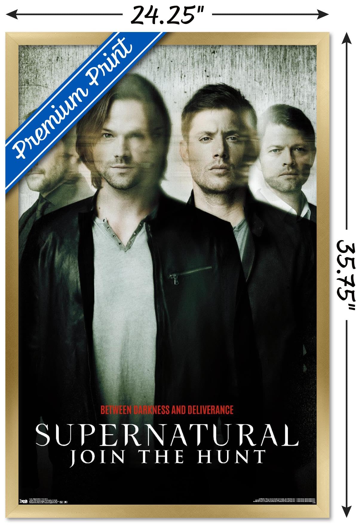 Trends International Supernatural - Key Art 11 Wall Poster, 34L X 22.4W, Gold Framed Version