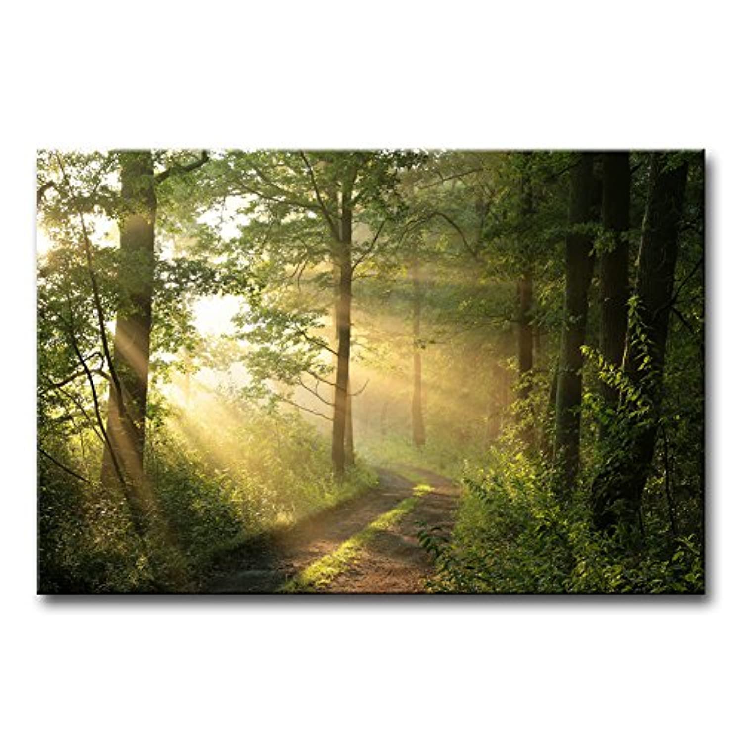 Forest Wall Art Modern Canvas Painting The Picture For Home Decorationtrees Foggy Morning Spring Landscape Print On Canvas Gicle