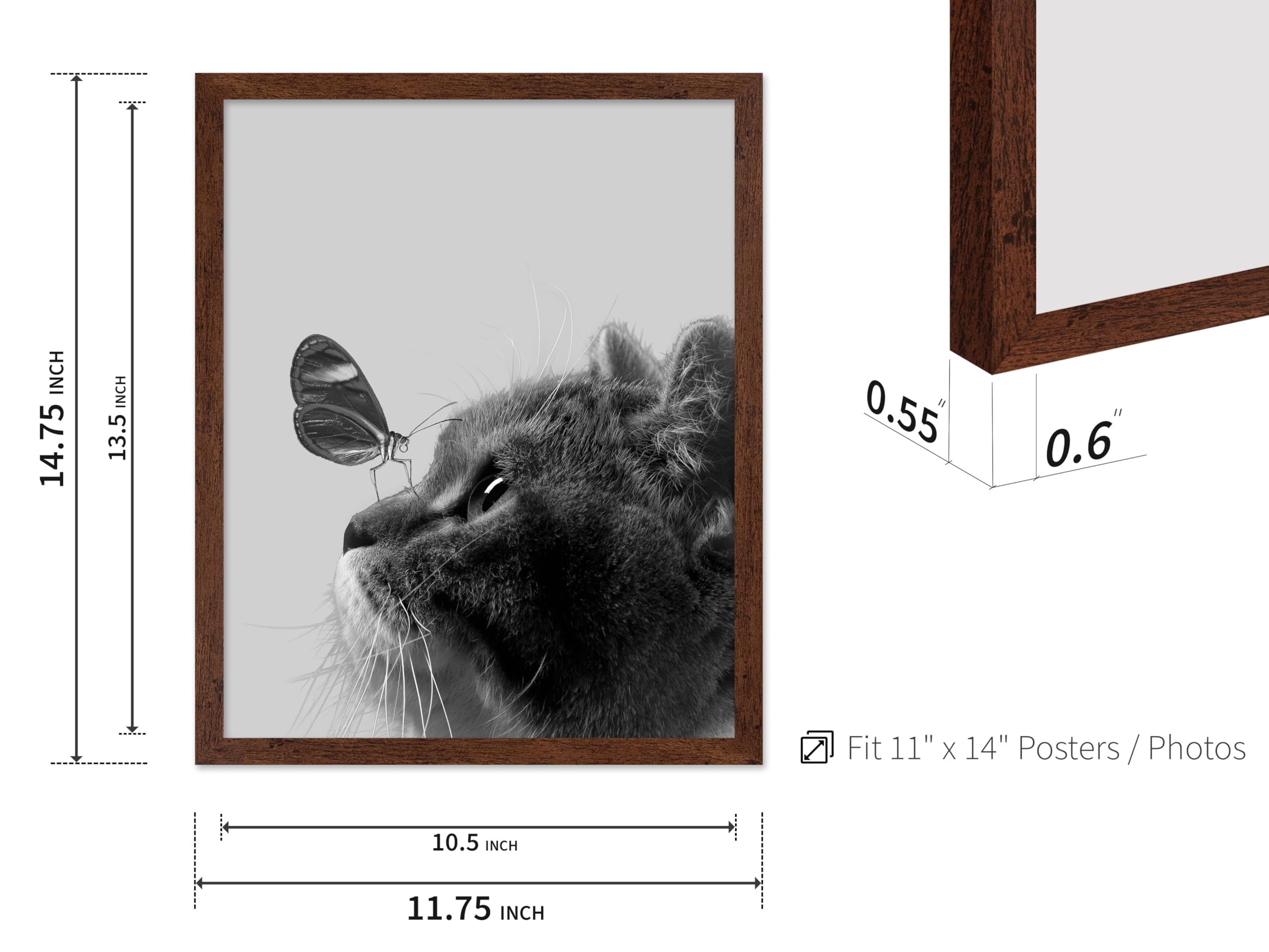 Poster Master Butterfly on Cat Poster - Cat and Butterfly Print - Gift for Veterinarian, Animal Lovers - Decor for Bedroom, Vet