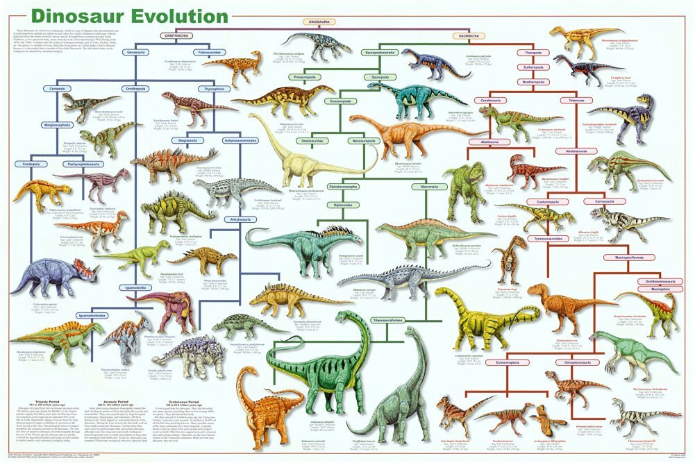 Feenixx Laminated Dinosaur Evolution Poster 24X36