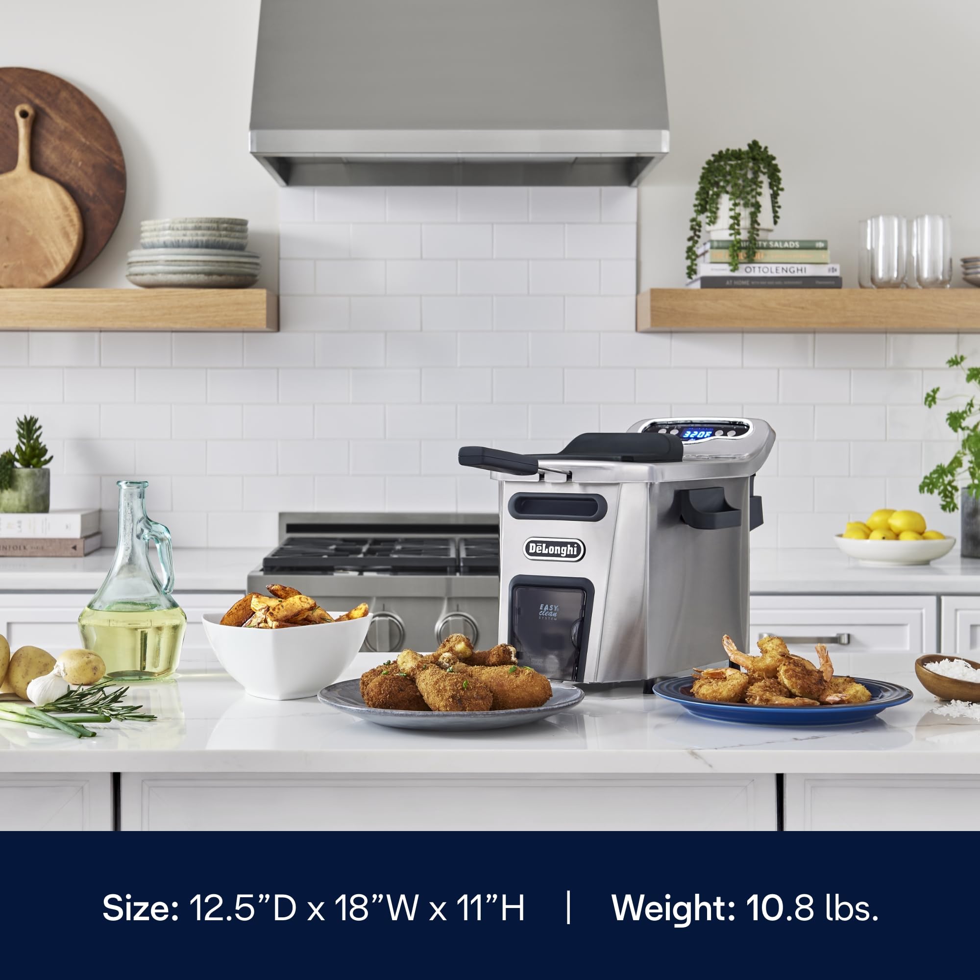 Delonghi Livenza Deep Fryer, Silver - 1-Gallon Oil Capacity - Easyclean System - Adjustable Thermostat - Cool Touch Handles - Di