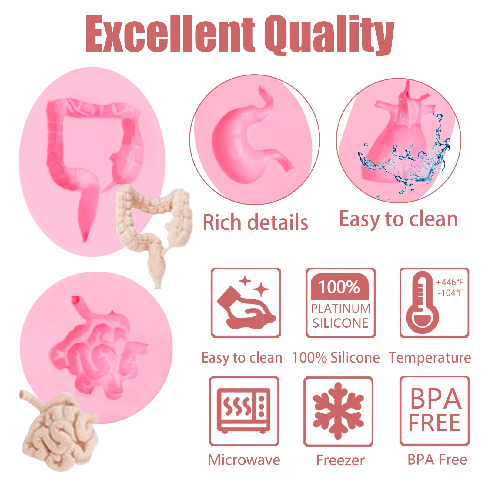 Human Organs Silicone Molds 6 Pcs, Human Organs Shape Silicone Molds Heart Brain Cake Mold Stem Stomach Intestinal Lung Kidney C