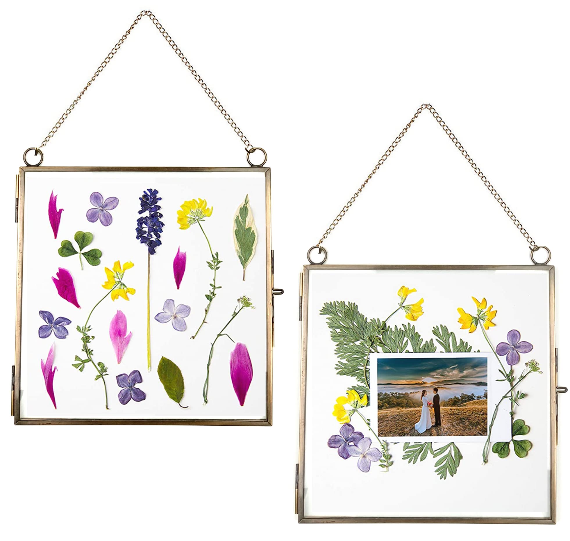 Beedecor Glass Frame for Pressed Flowers, Leaf and Artwork - Hanging Square Metal Picture Frames, Clear Double Glass Floating Fr