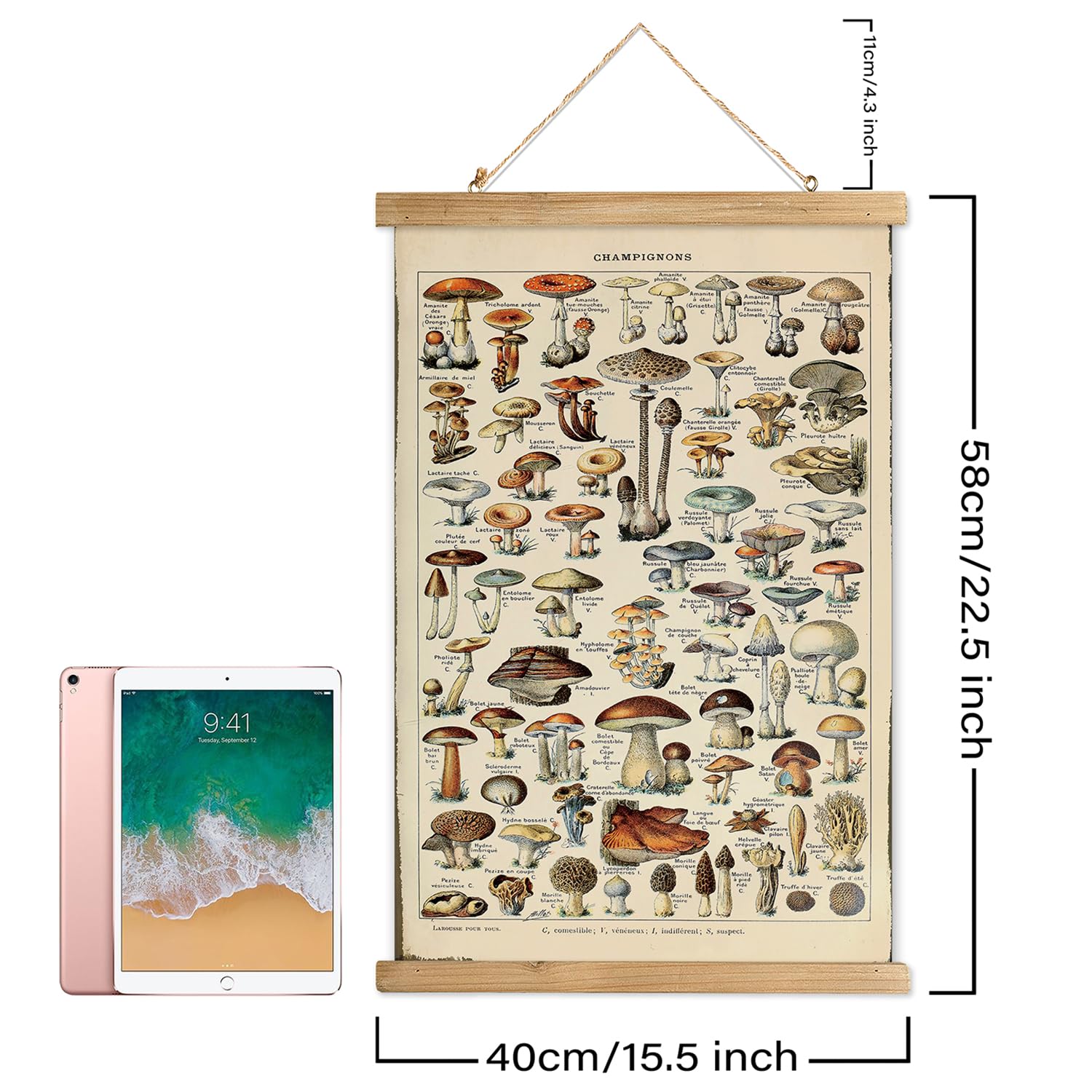 Xiaoaika Vintage Mushroom Poster With Wooden Scroll Frame - Classic Botanical Print With Variety Of Fungi Species - Retro Style