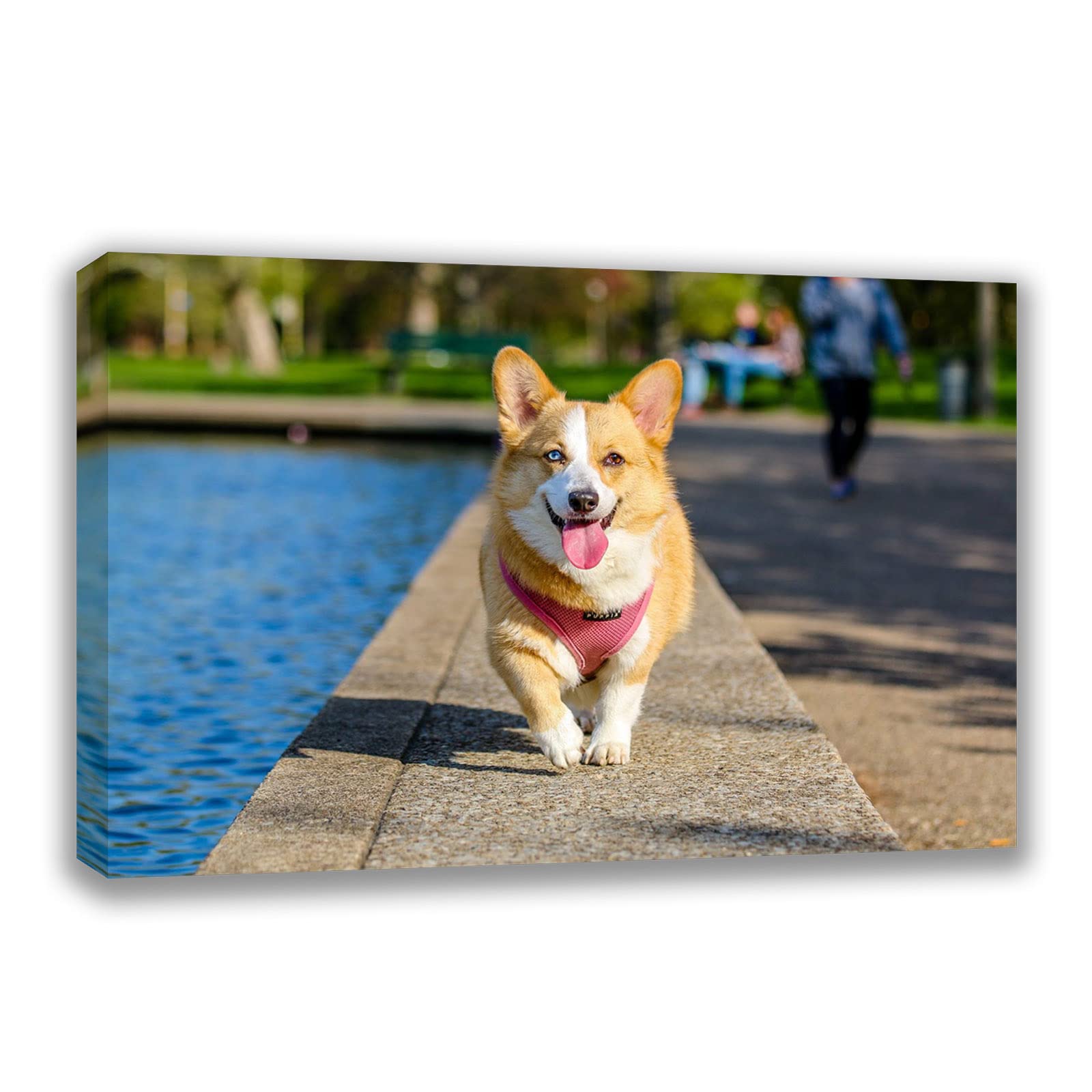 Custom Canvas Prints With Your Photos (24X12, Framed Canvas) Customized Wall Art Personalized Canvas Pictures For Pet/Family Gif