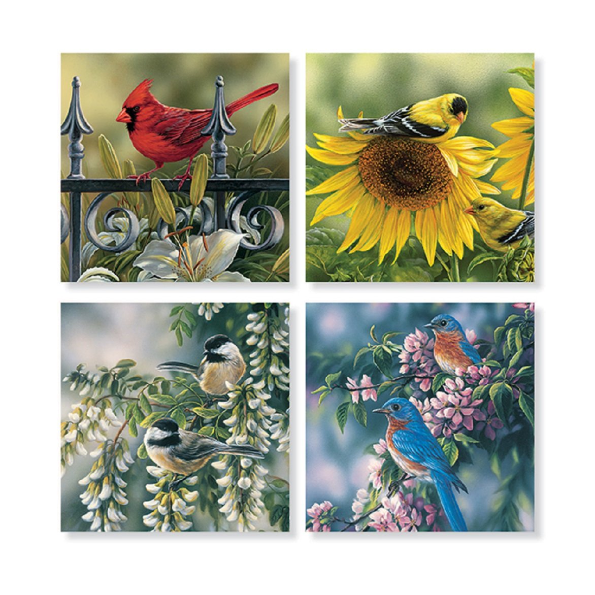Set Of 4 ''Mixed Birds'' Square Stone Coaster Set By Carson Home Accents