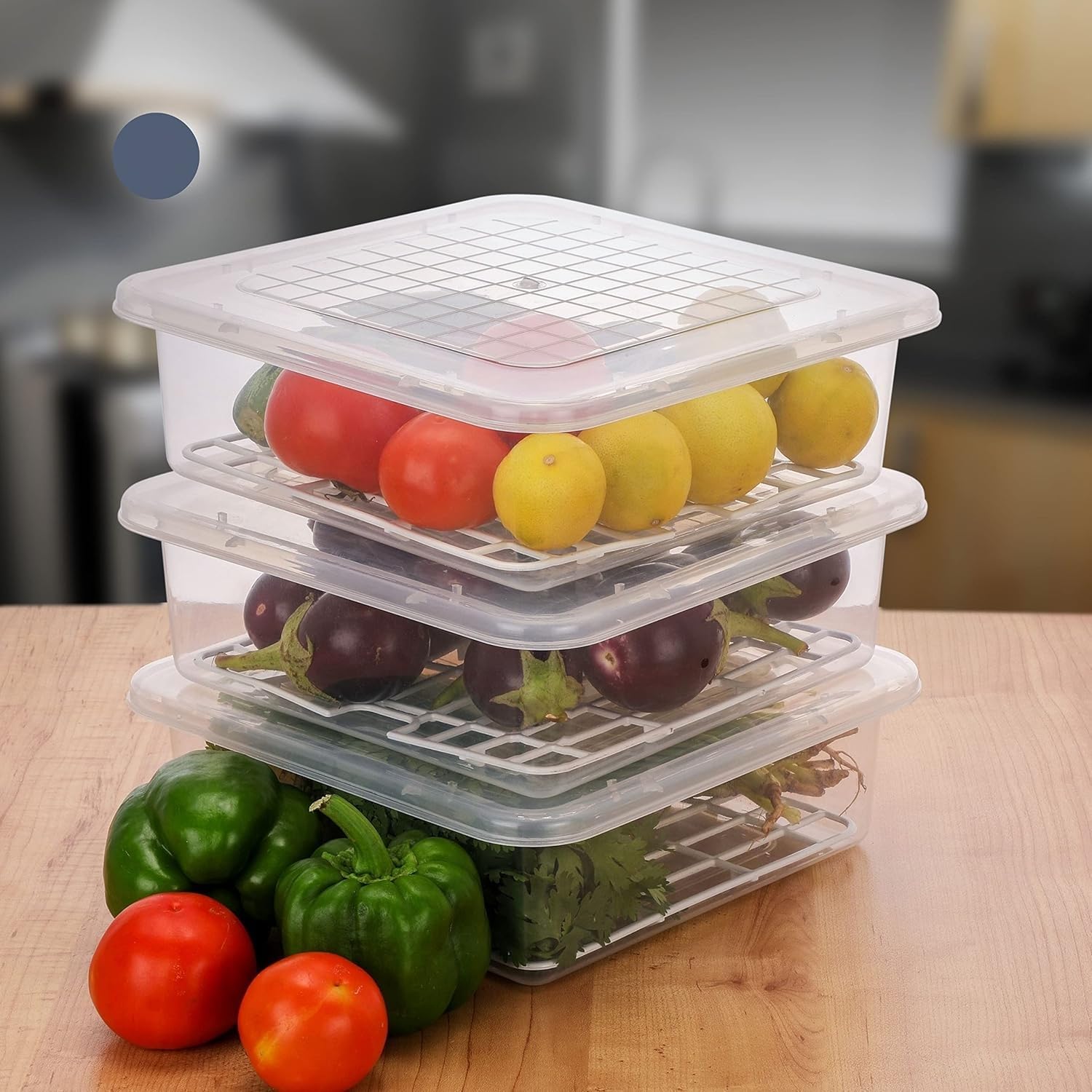 Kesi Ornaments 2 Pieces 2500Ml Fridge Storage Boxes With Removable Drain Plate And Lid Square Stackable Fridge Storage Container
