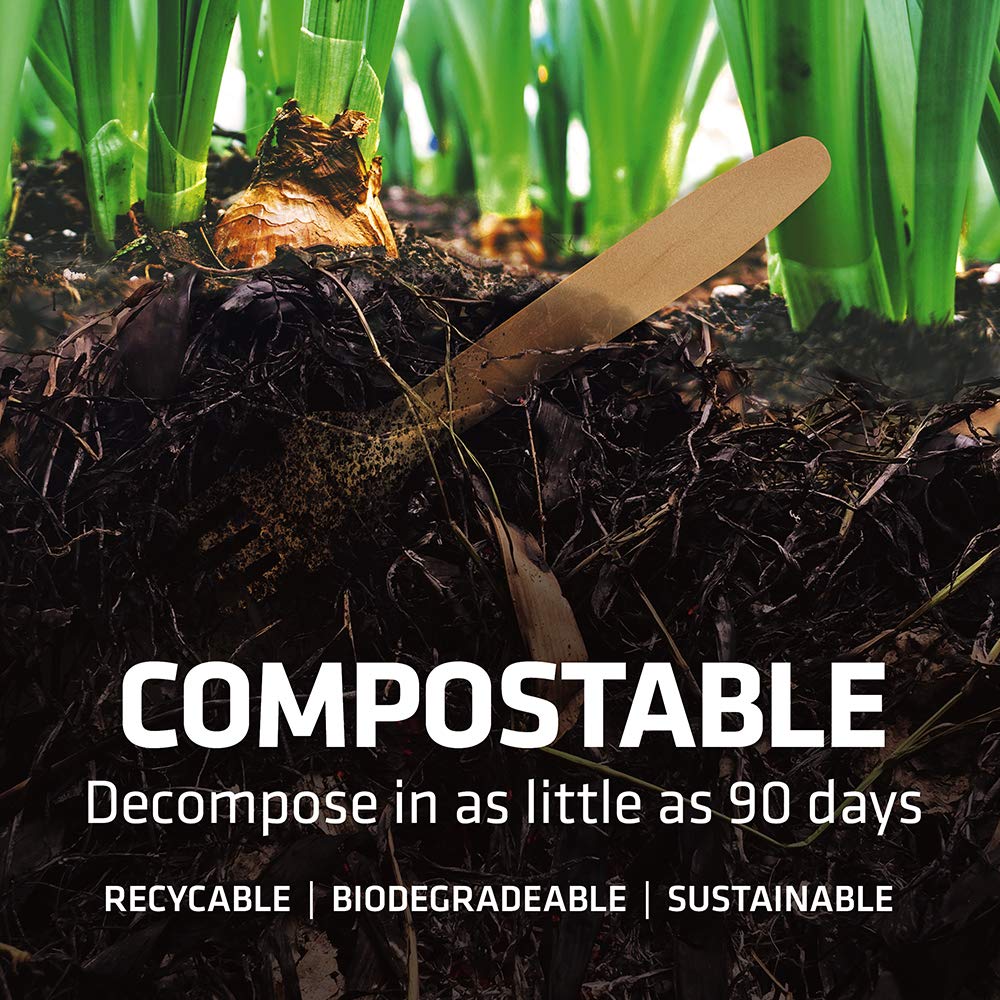 Disposable Wooden Cutlery Set - 100% Home Compostable - 2000 Spoons 6.5, Bamboo Utensils Alternative, Eco-Friendly, Organic, S