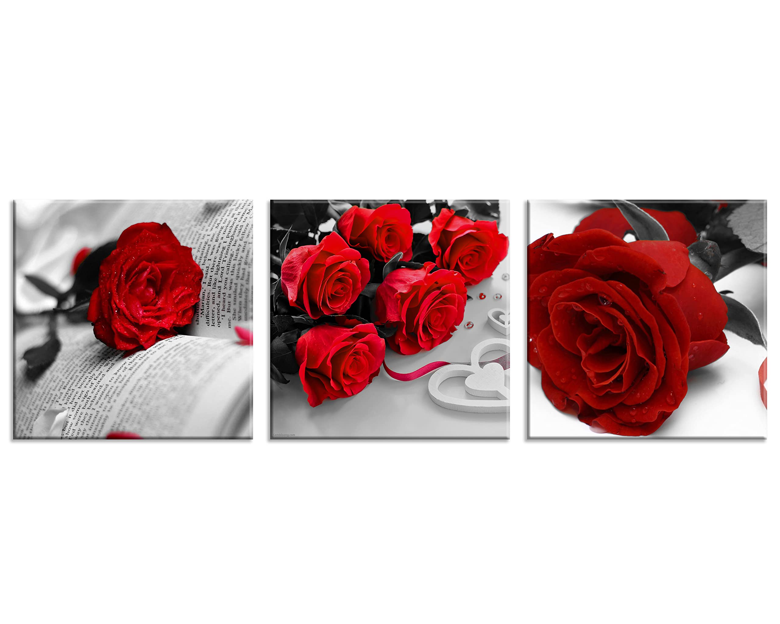 Nan Wind 3 Pcs Black White With Red Wall Art Red Rose Wall Decor Abstract Decorations Flower Picture On Canvas For Home Decor St