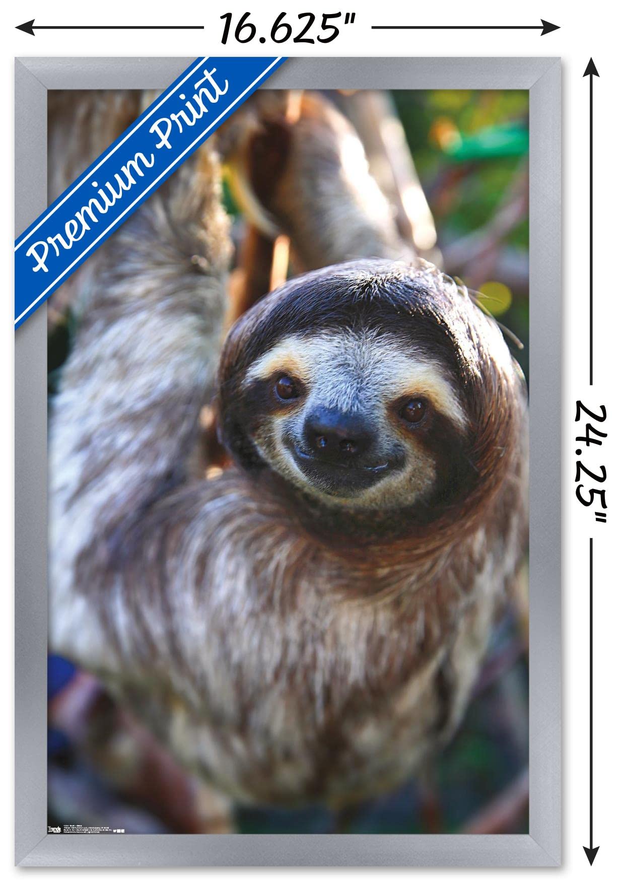 Trends International Sloth - Smile Wall Poster, 14.725'' X 22.375'', Silver Framed Version