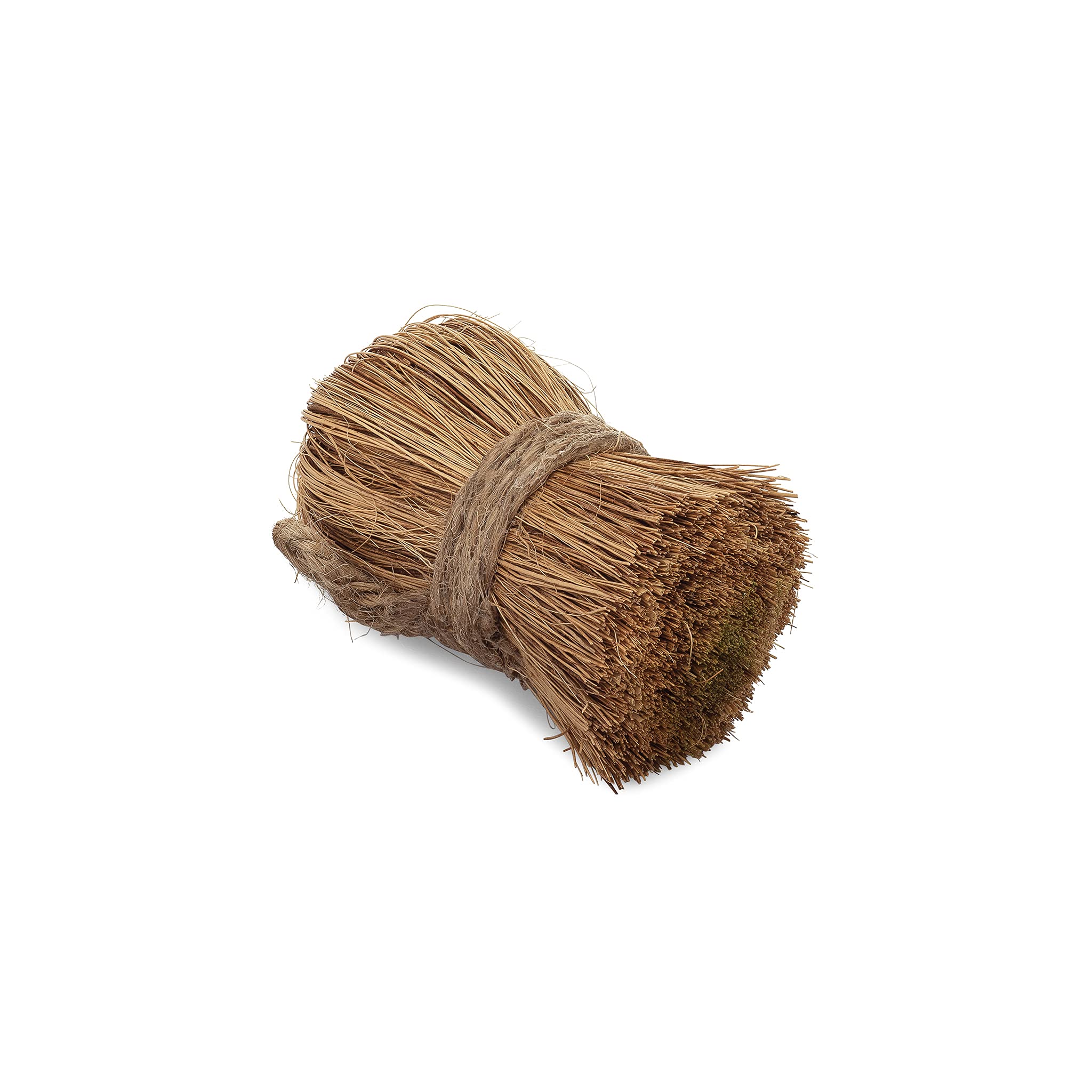 Full Circle Zero Waste Veggie Brush - Produce Brush For Food, Fruit & Vegetables - 100% Plant Based Natural Bristle Vegetable Br