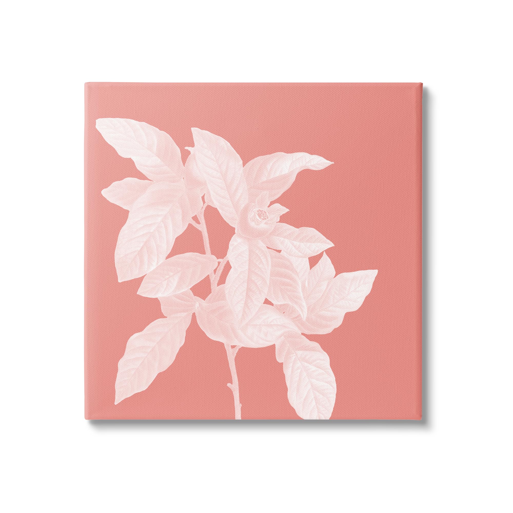 Stupell Industries Pink & White Botanical Canvas Wall Art By Andrea Haase