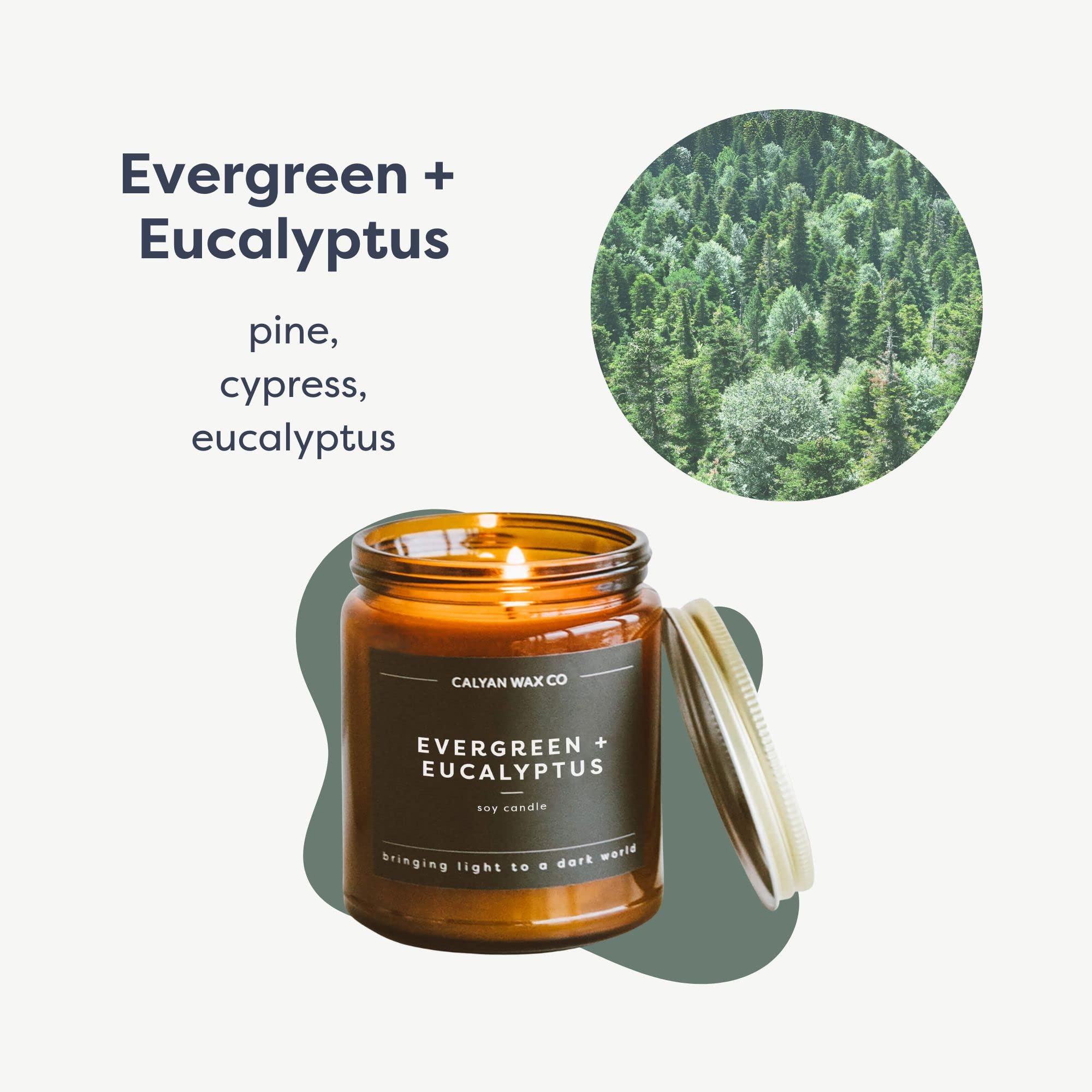 Calyan Wax Soy Wax Candle, Evergreen & Eucalyptus Scented Candle for The Home  Premium Candle with Essential Oils  7.2 oz 57 Hou