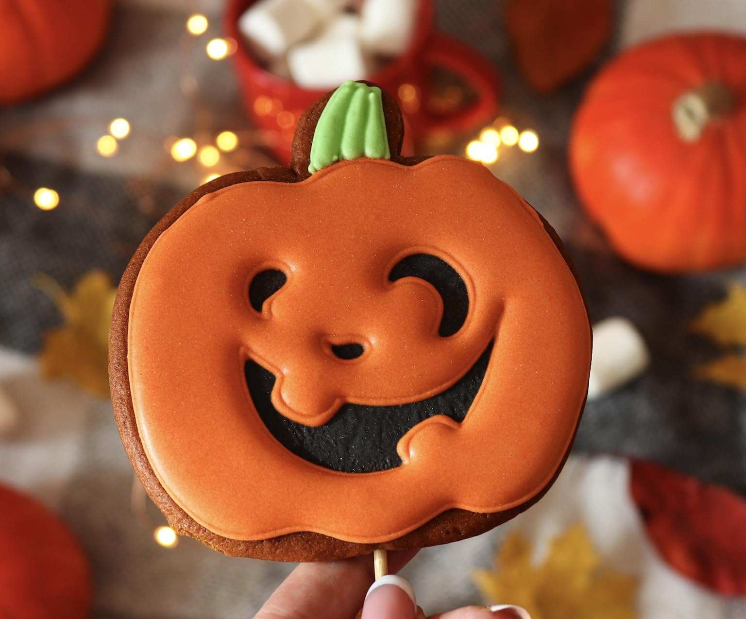 Pumpkin Cookie Cutter 3 Piece Set, Premium Food-Grade Stainless Steel, Dishwasher Safe