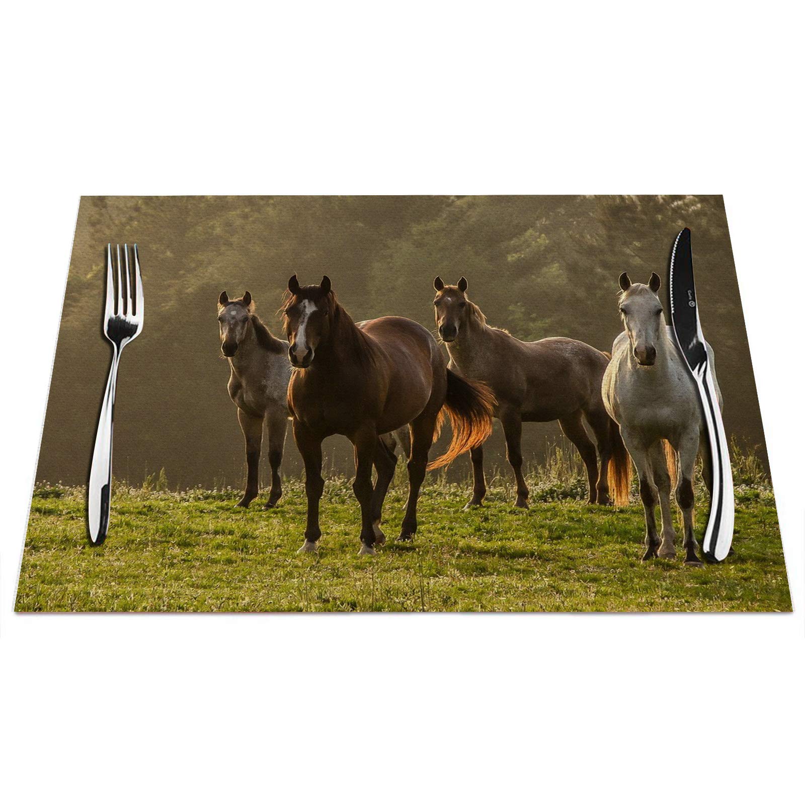 Horse Placemats Set Of 4, Horse On The Prairie Pasture Placemats Heat Resistant For Dining Table Non-Slip 18X12 Inches