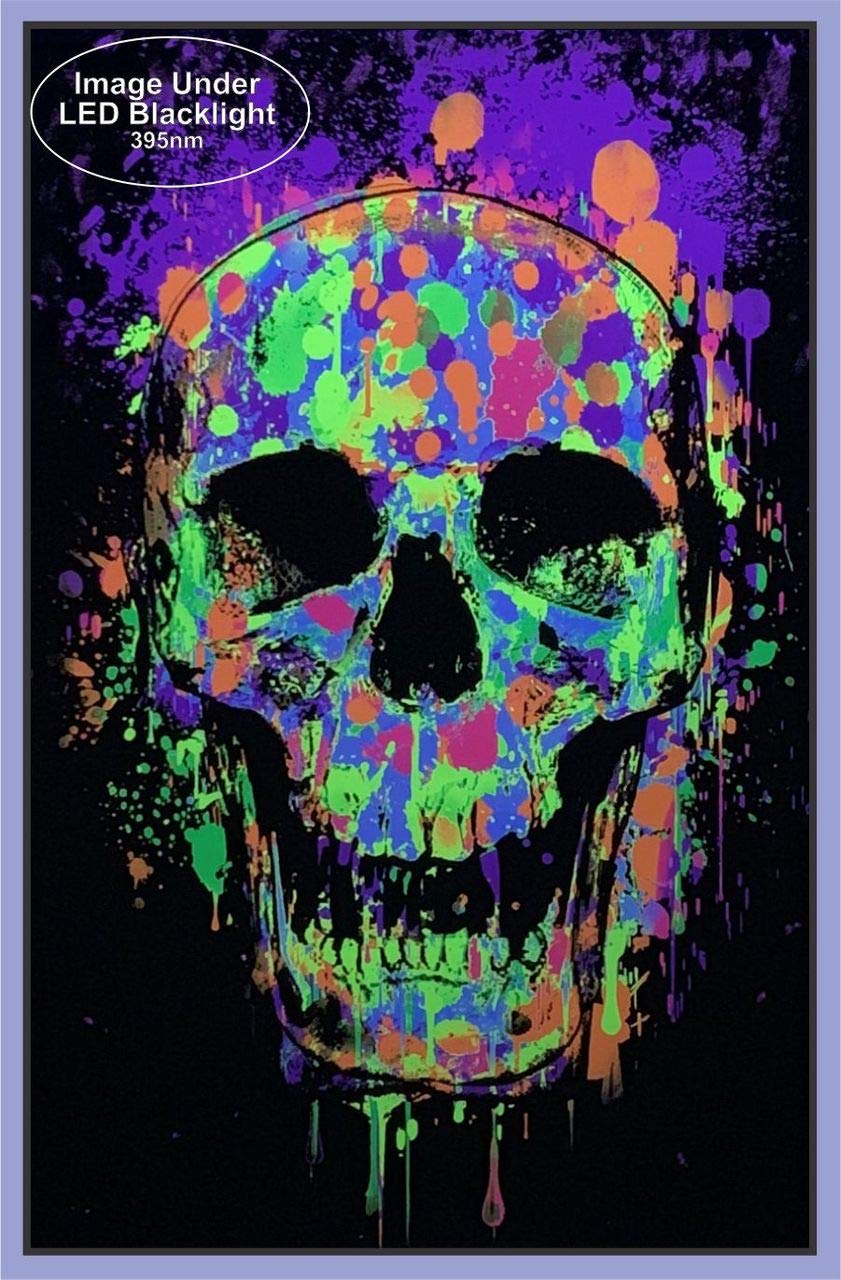 Studio B Splatter Skull Poster - Blacklight Reactive - 24" x 36" - Multi-color