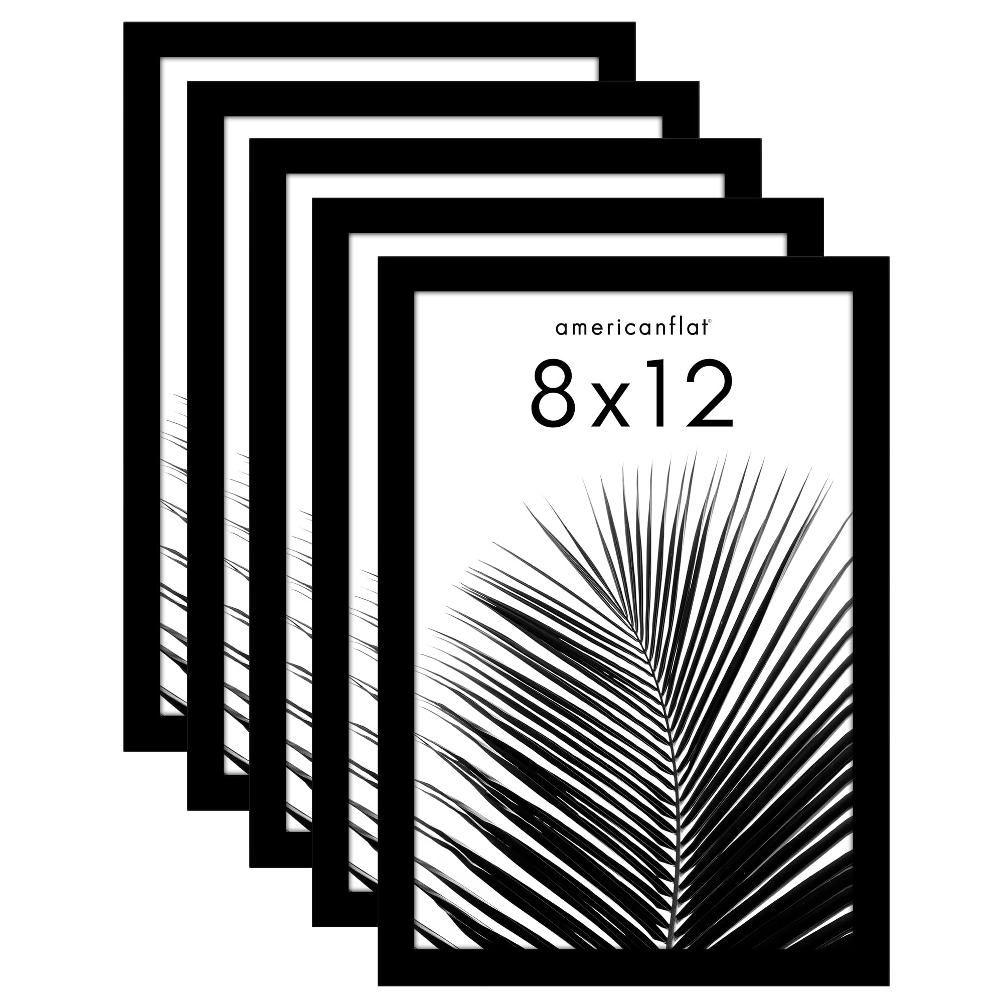 Americanflat 8x12 Picture Frame with Polished Plexiglass - Set of 5 - Galleria Collection - Picture Frames for Tabletop and Wall