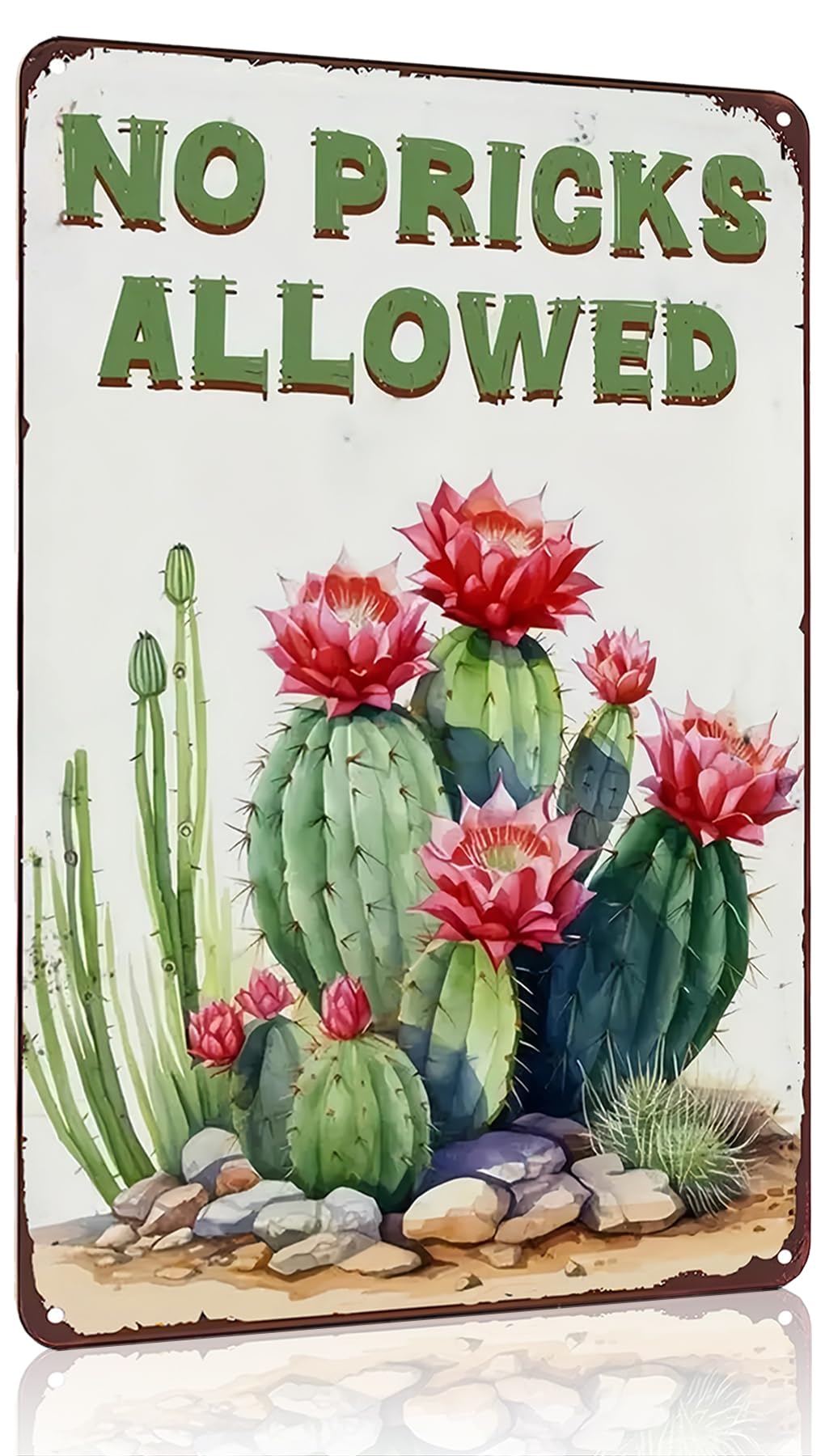 Bestylez Garden Gifts Vintage Cactus No Pricks Allowed Gardening Signs for Home Garden Greenhouse Living Room Bedroom Yard Outdo