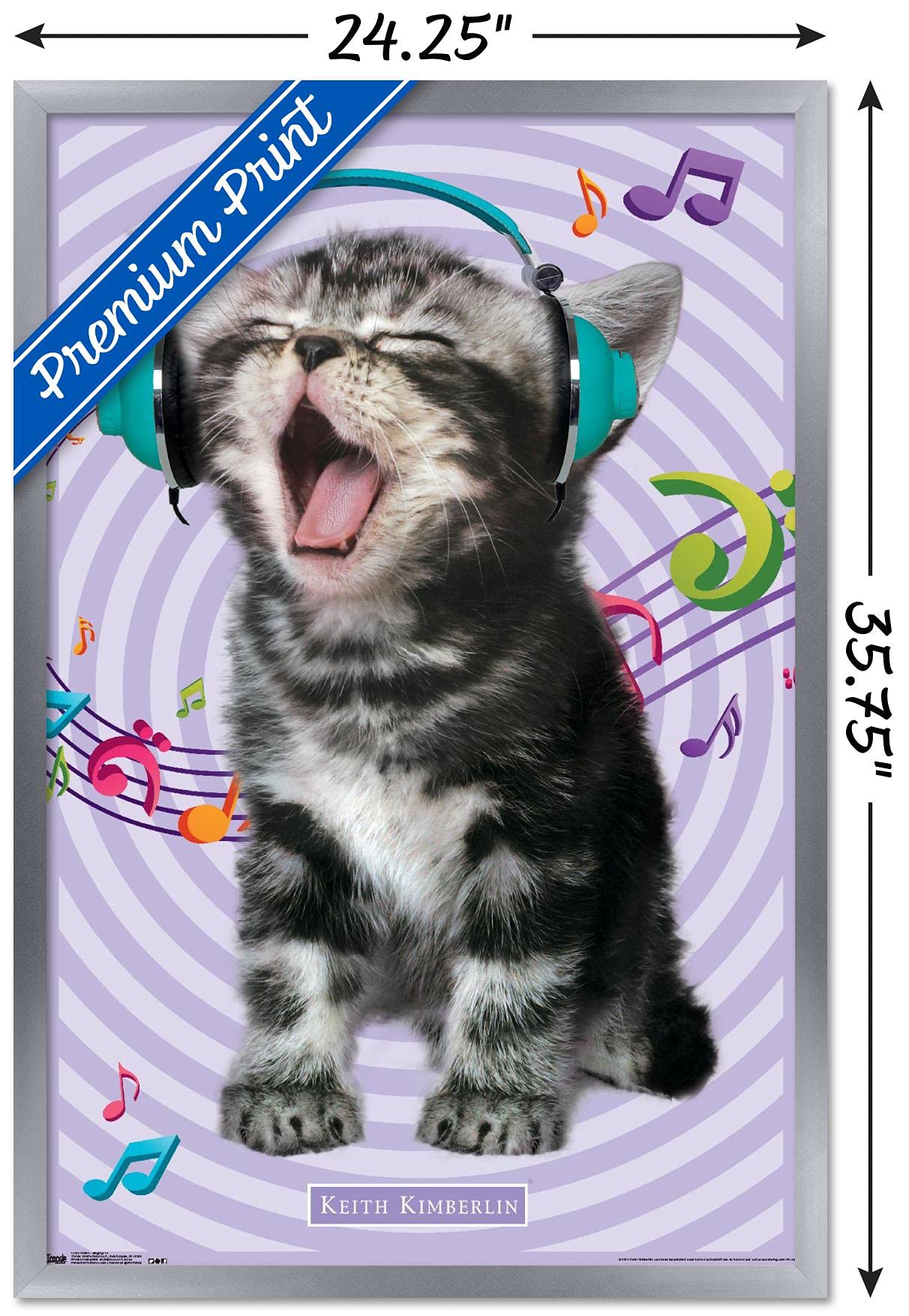 Trends International Keith Kimberlin - Kitten - Singing Wall Poster, 22.375'' X 34'', Silver Framed Version
