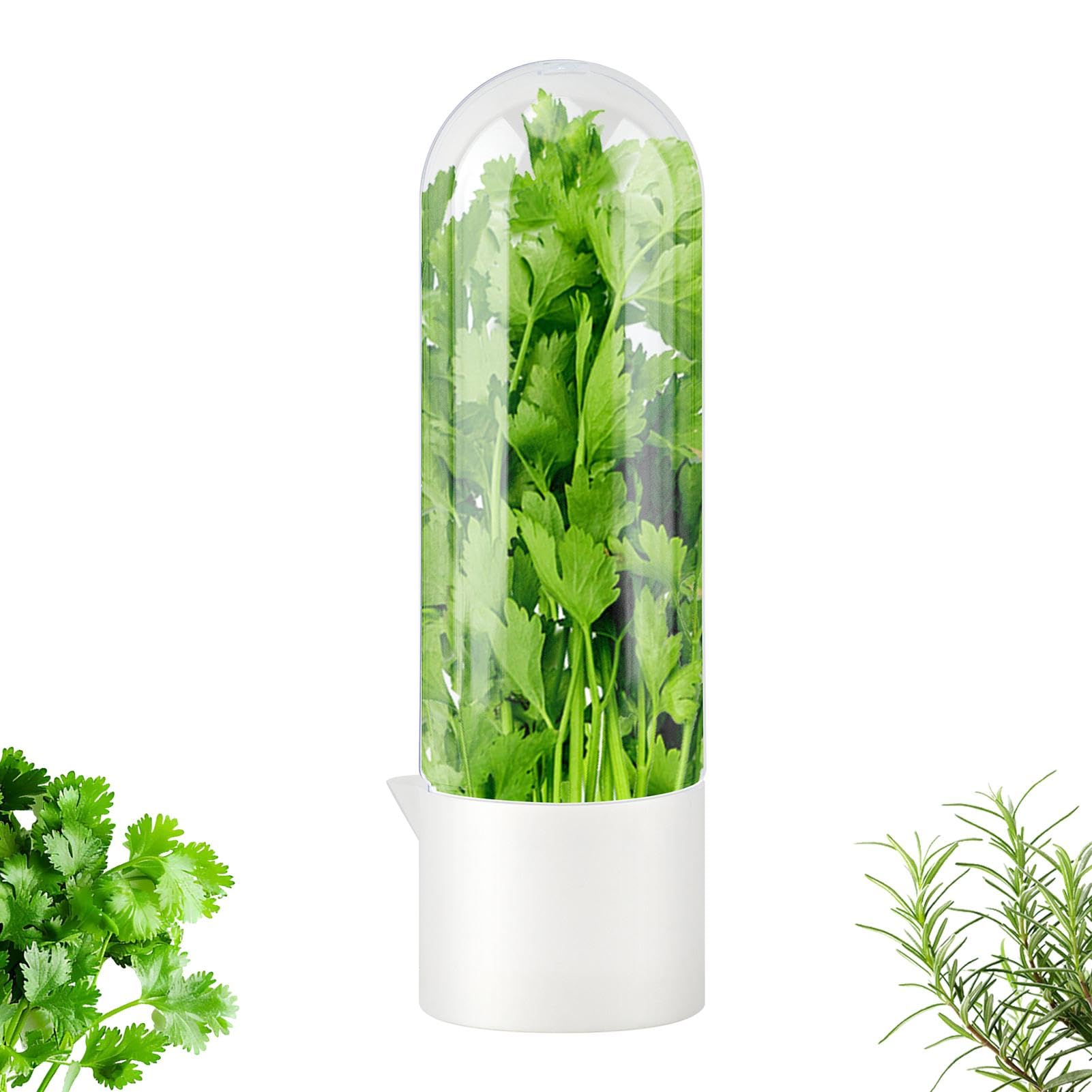 Herb Keeper for Refrigerator, Fresh Herb Saver for Cilantro or Parsley