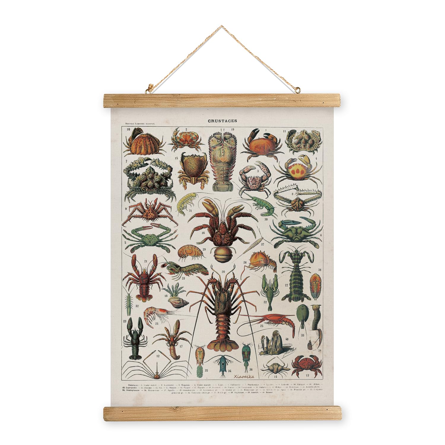 Xiaoaika Antique Crustacean Species Poster - Vintage Detailed Seafood Illustration Chart With Wooden Frame - Educational Wall Ar