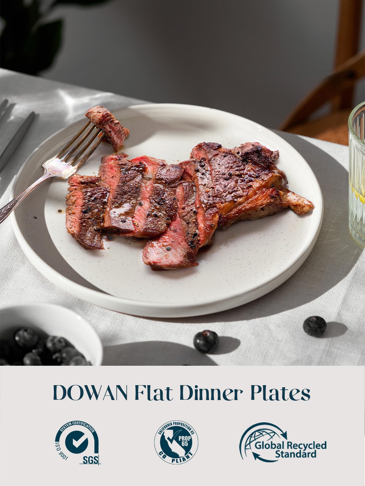 DOWAN 10.5 Large Dinner Plates Set of 6, Ceramic Salad Plate, Microwave, Oven & Dishwasher Safe, Moon-White Design Perfect for P