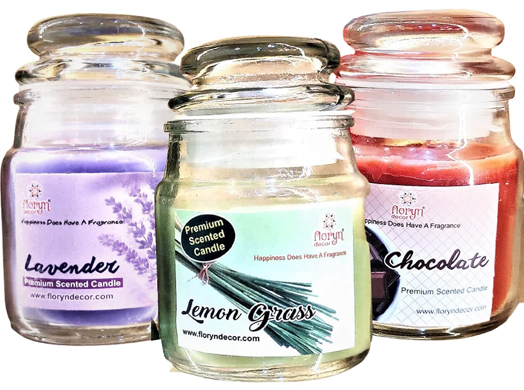 Floryn Decor Scented Cookie Jar Candle | Pack of 3 | Scented Jar Candle (Lavender | Lemon Grass | Chocolate)