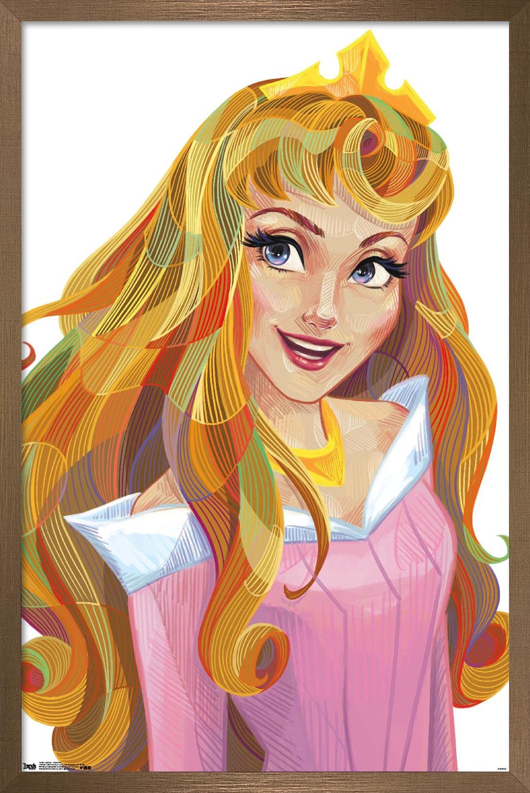 Trends International Disney Sleeping Beauty - Aurora - Stylized Wall Poster, 14.725'' X 22.375'', Bronze Framed Version