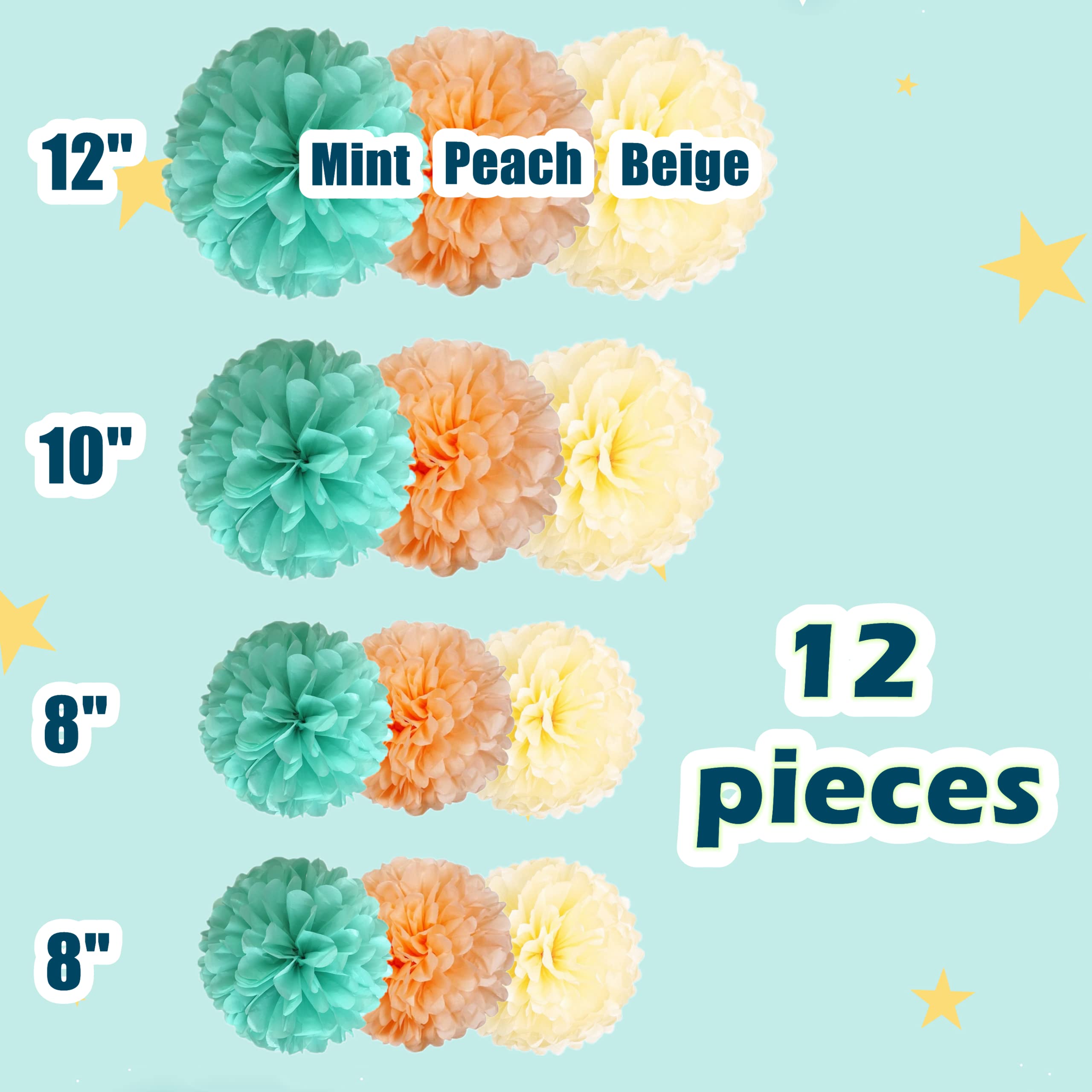 12 Pcs Tissue Pom Poms Decorations, Tissue Paper Flowers Kit For Birthday, Baby Shower, Classroom, Nursery, Graduation, Bridal S