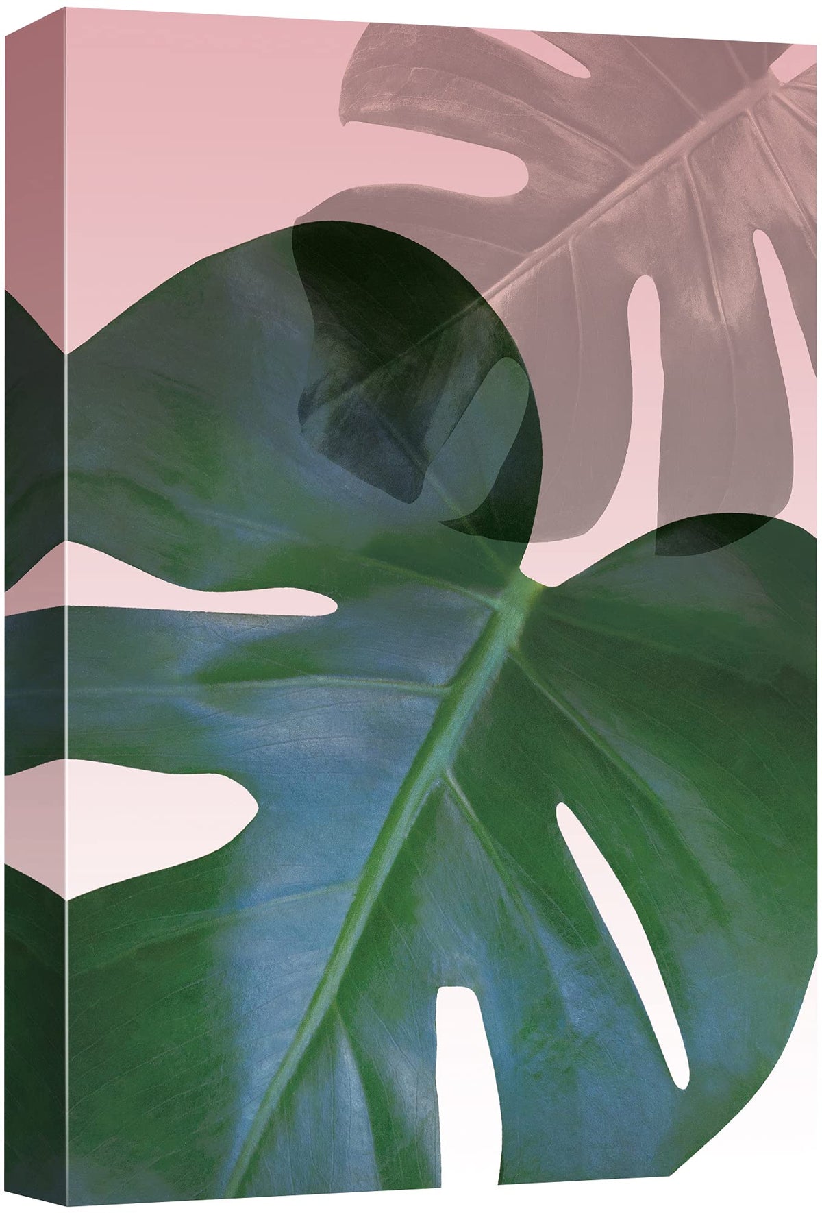 Nwt Canvas Print Wall Art Pink And Green Transparent Monstera Collage Floral Plants Illustrations Modern Art Tropical Closeup Co