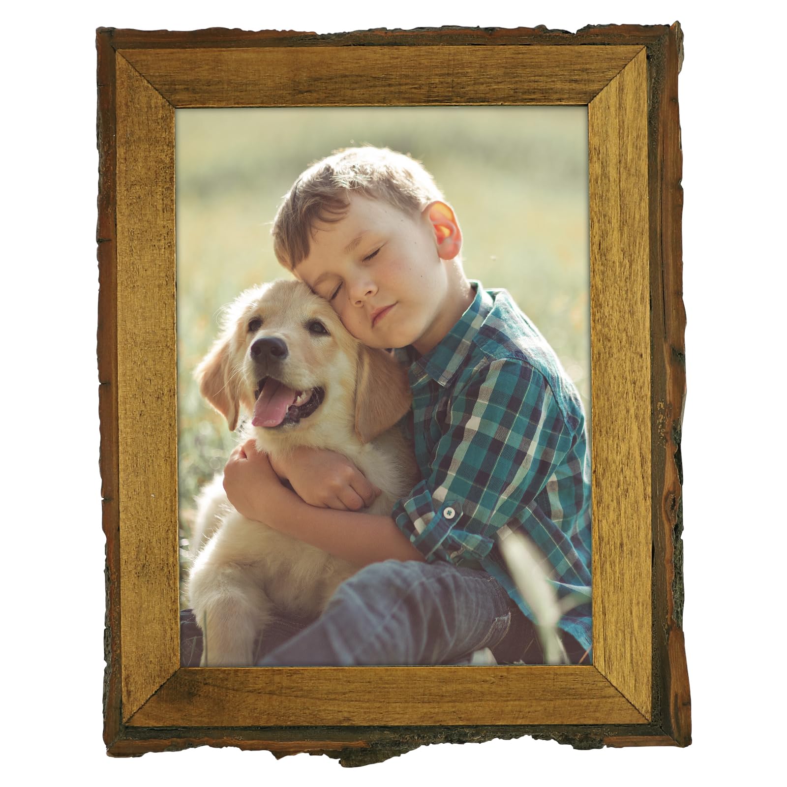 Golden State Art, 6x8 Picture Frame Rustic Brown, Solid Wood Picture Frame with Bark Edges & Real Glass Cover, Display Posters/P