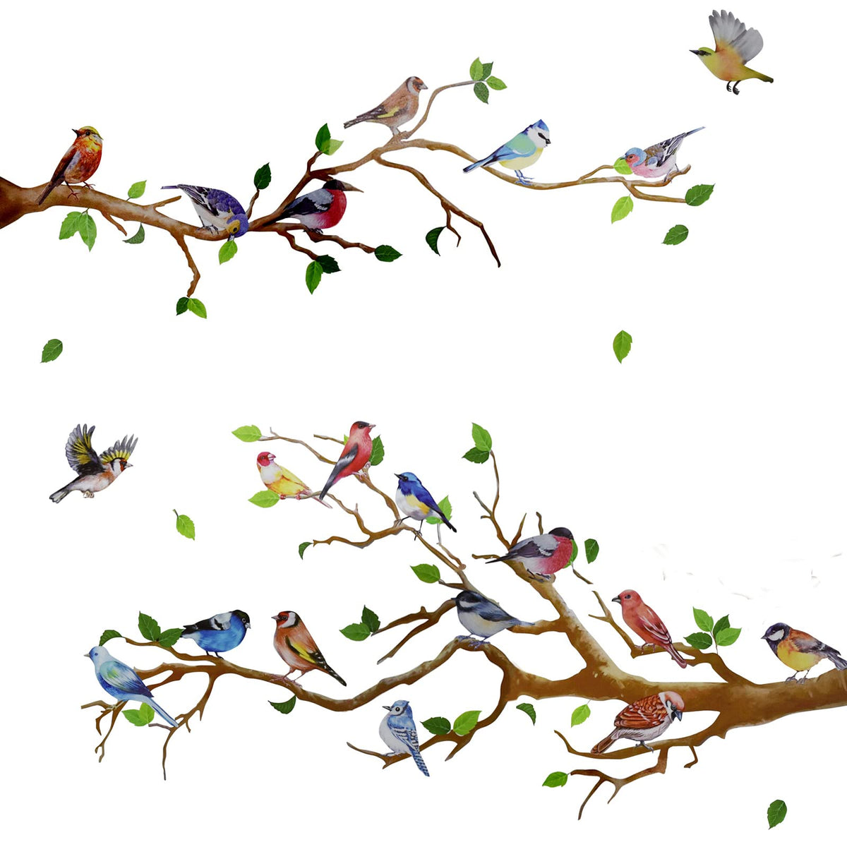 Maydahui Little Birds On Tree Branches Wall Decal Vinyl Wall Sticker (34 X 34 Inch) Removable Peel And Stick Art Murals Decor Fo