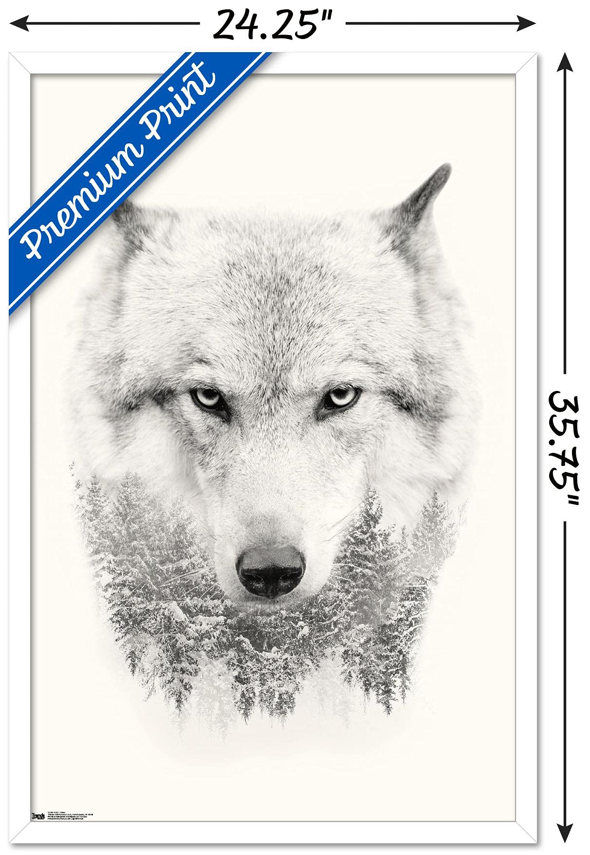 Trends International Wolf - Trees Wall Poster, 22.375'' X 34'', White Framed Version
