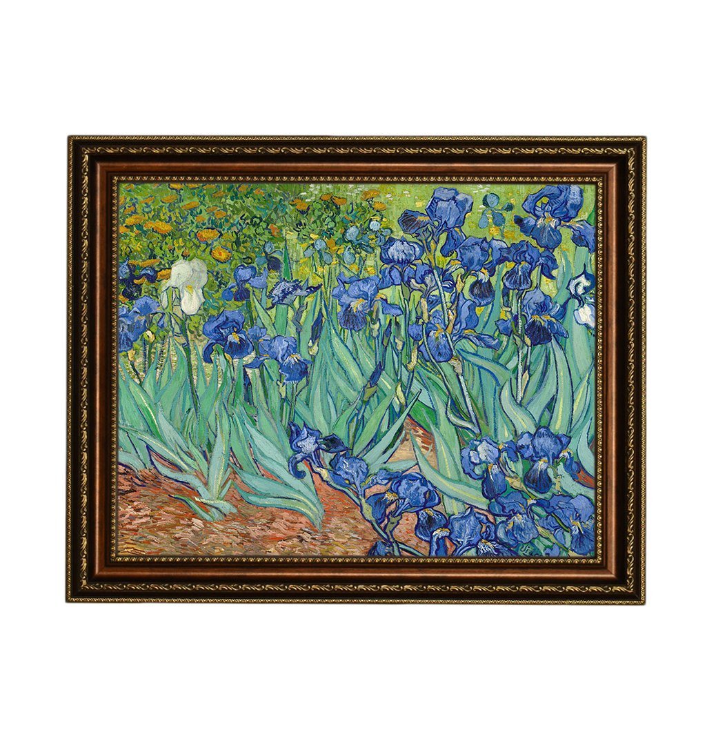 Eliteart-Irises In The Garden By Vincent Van Gogh Giclee Art Canvas Prints-Framed Size:27 3/5''X34 3/5''