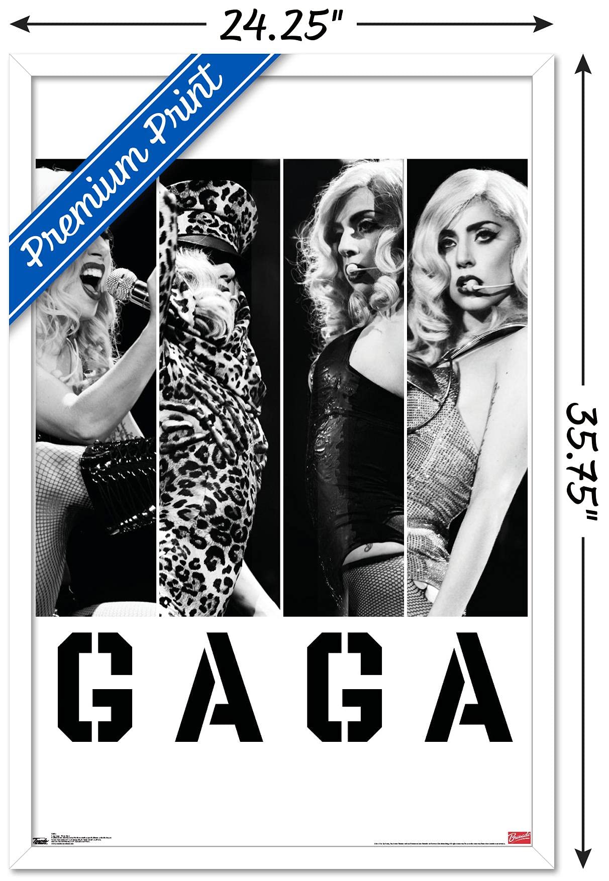 Trends International Lady Gaga - Photo Bars Wall Poster, 22.375'' X 34'', White Framed Version