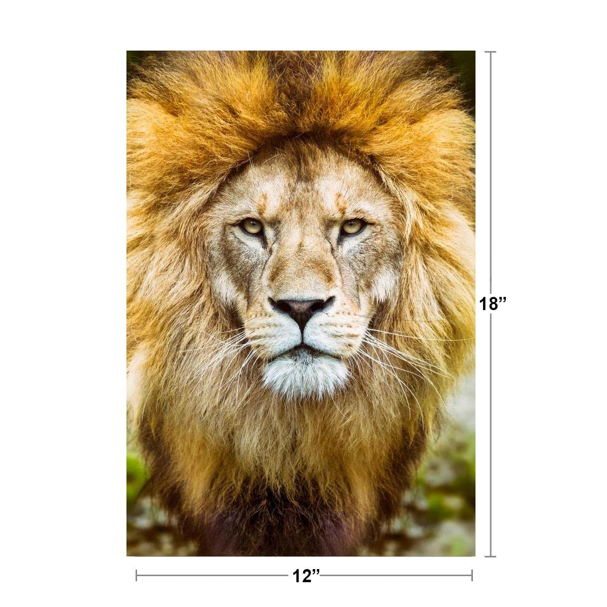 African Lion Head Shot Male Lion Mane Lion Posters For Wall Lion Pictures Wall Decor Picture Of Lions African Travel Poster Safa