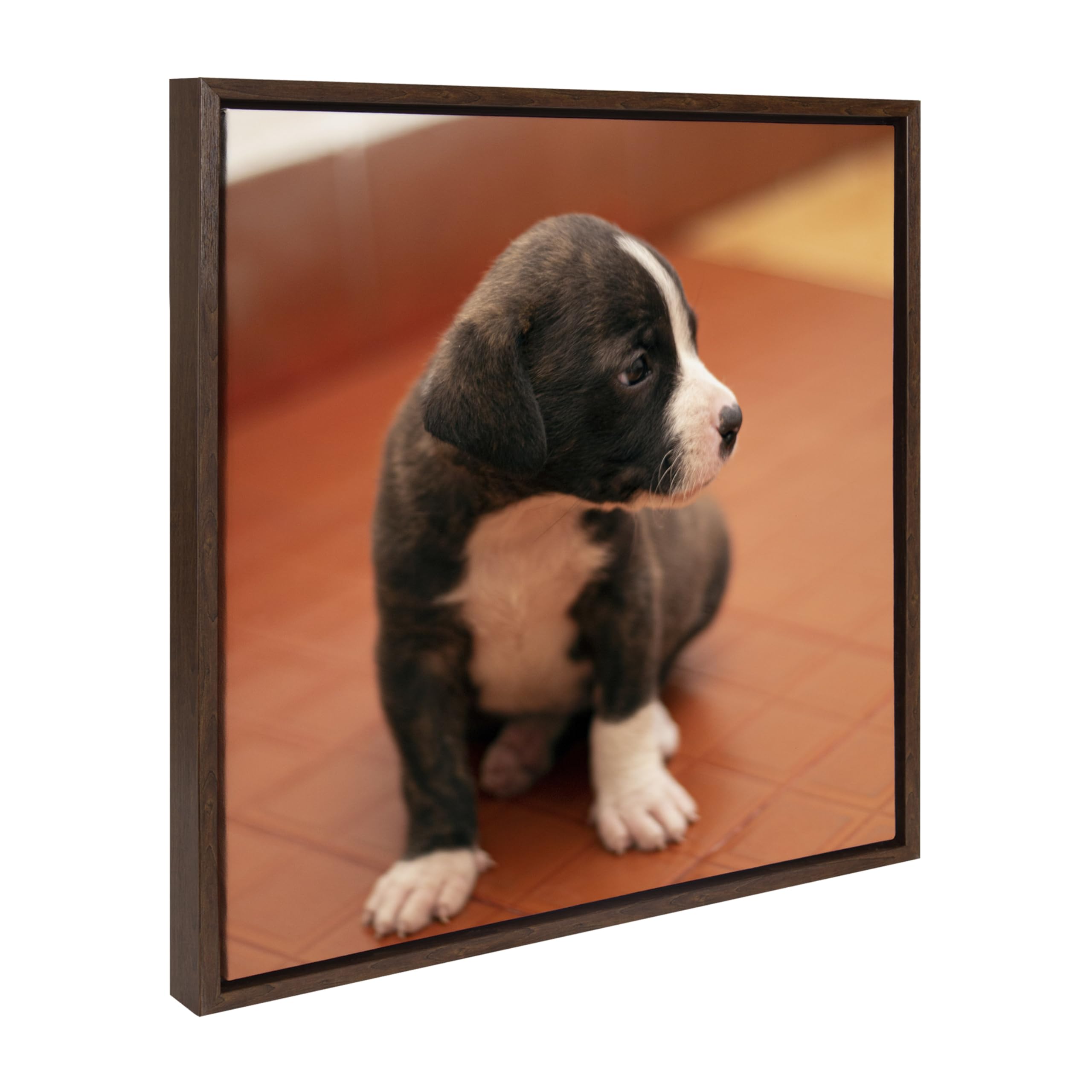 Kate And Laurel Sylvie Square Custom Printed Framed Canvas Wall Art, 22X22 Brown, Personal Canvas Print With Your Photos For Bed