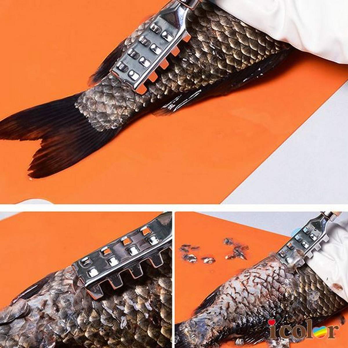 Japanbargain 1885, Fish Scaler Scale Remover Tool Seafood Fishing Cleaning Tool