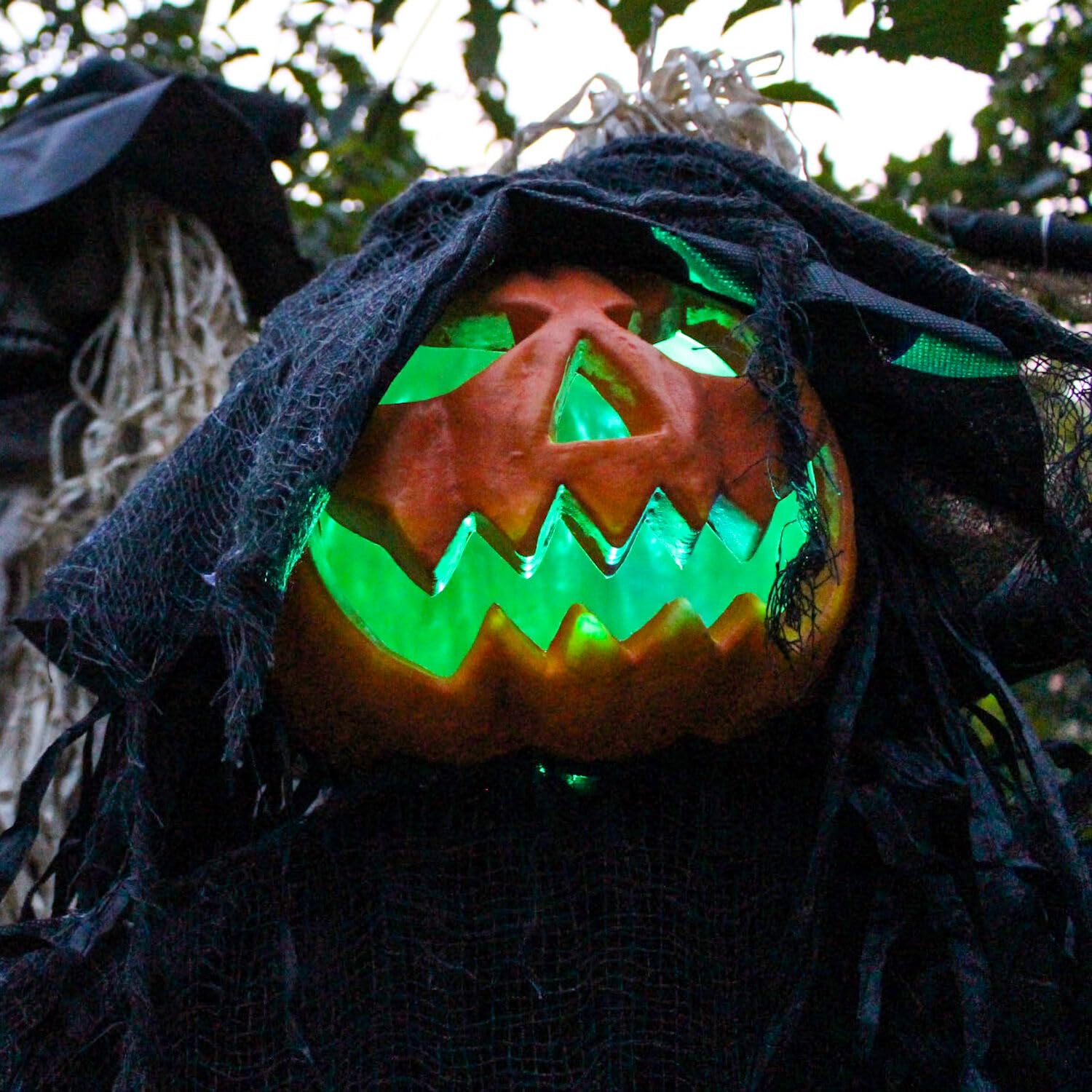 Haunted Hill Farm Life-Size Scary Poseable Pumpkin Witch, Halloween Prop with Touch Activated Lights and Sound, Battery Operated