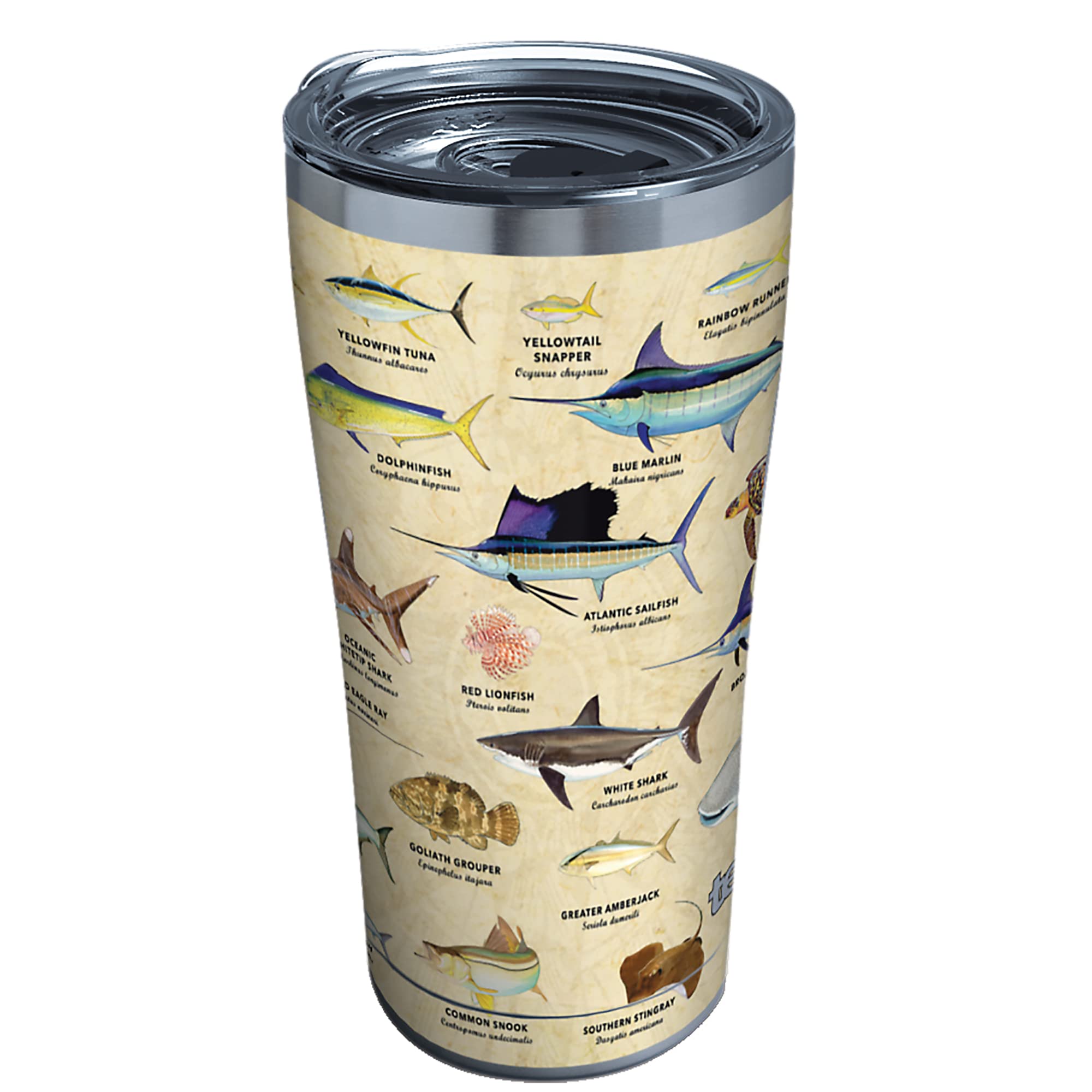 Tervis Guy Harvey Charts Triple Insulated Insulated Tumbler Travel Cup Keeps Drinks Cold & Hot, 20Oz Legacy, Stainless Steel