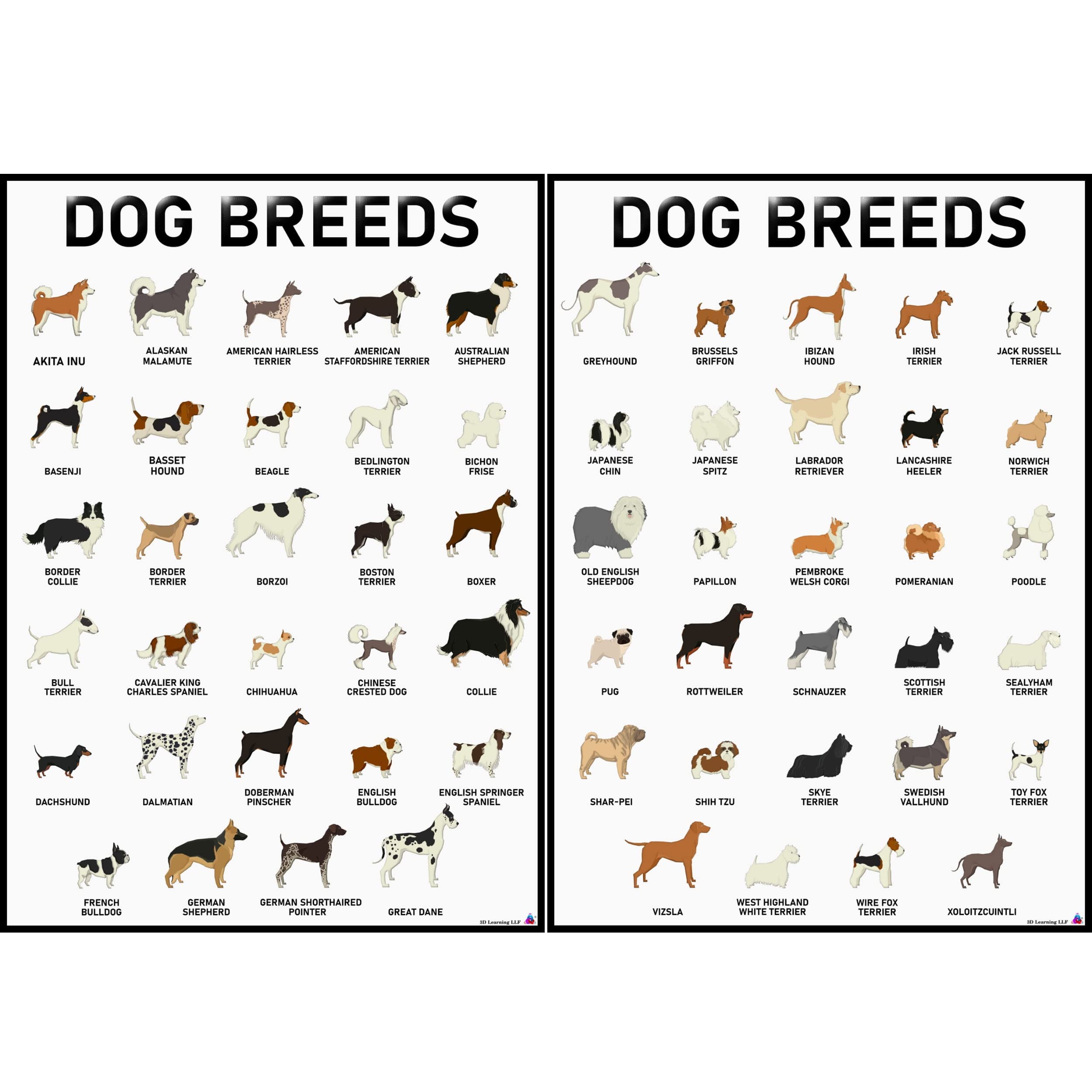 3D Learning Llf Dog Breeds Posters Set 58 Breeds For Lovers, Professionals Wall Art & Decor For Bedrooms, Clinic, Classroom