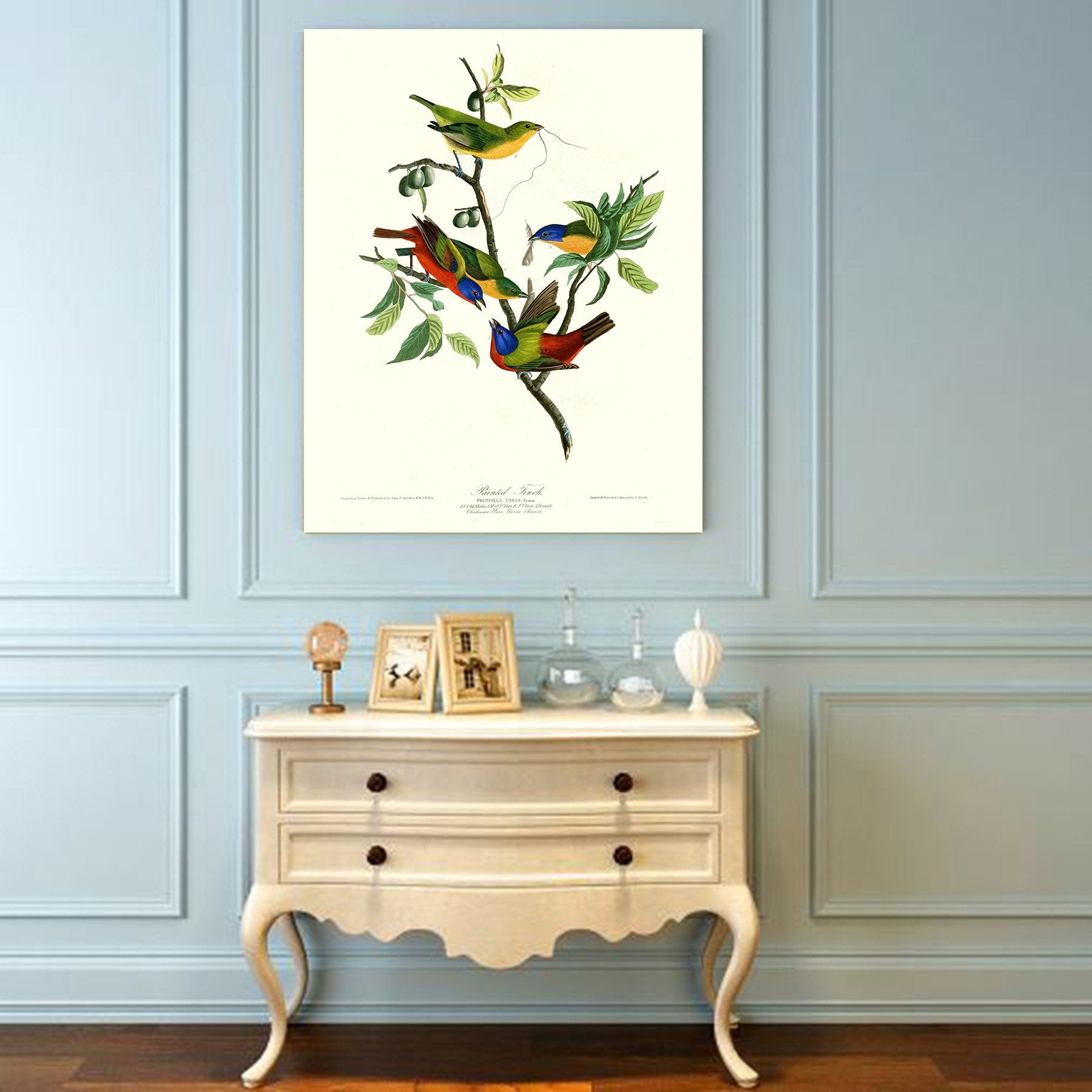 Niwo Art - Painted Finch, By John James Audubon. The Birds Of America Reproductions. Giclee Print Acrylic Coating On Canvas For