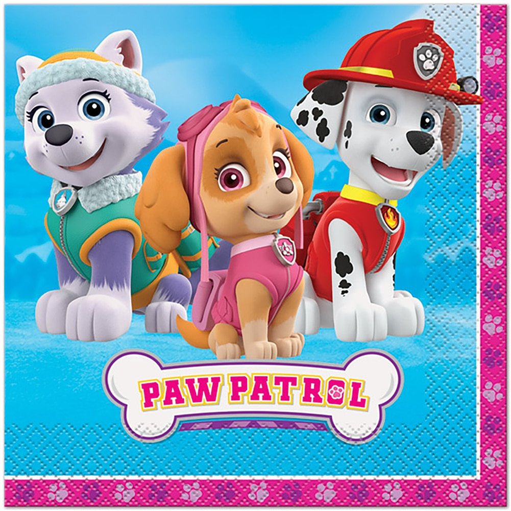 Multicolor Paw Patrol Girl Luncheon Napkins (16 Count) - Premium Quality Paper, Eye-Catching, Durable & Absorbent - Perfect For