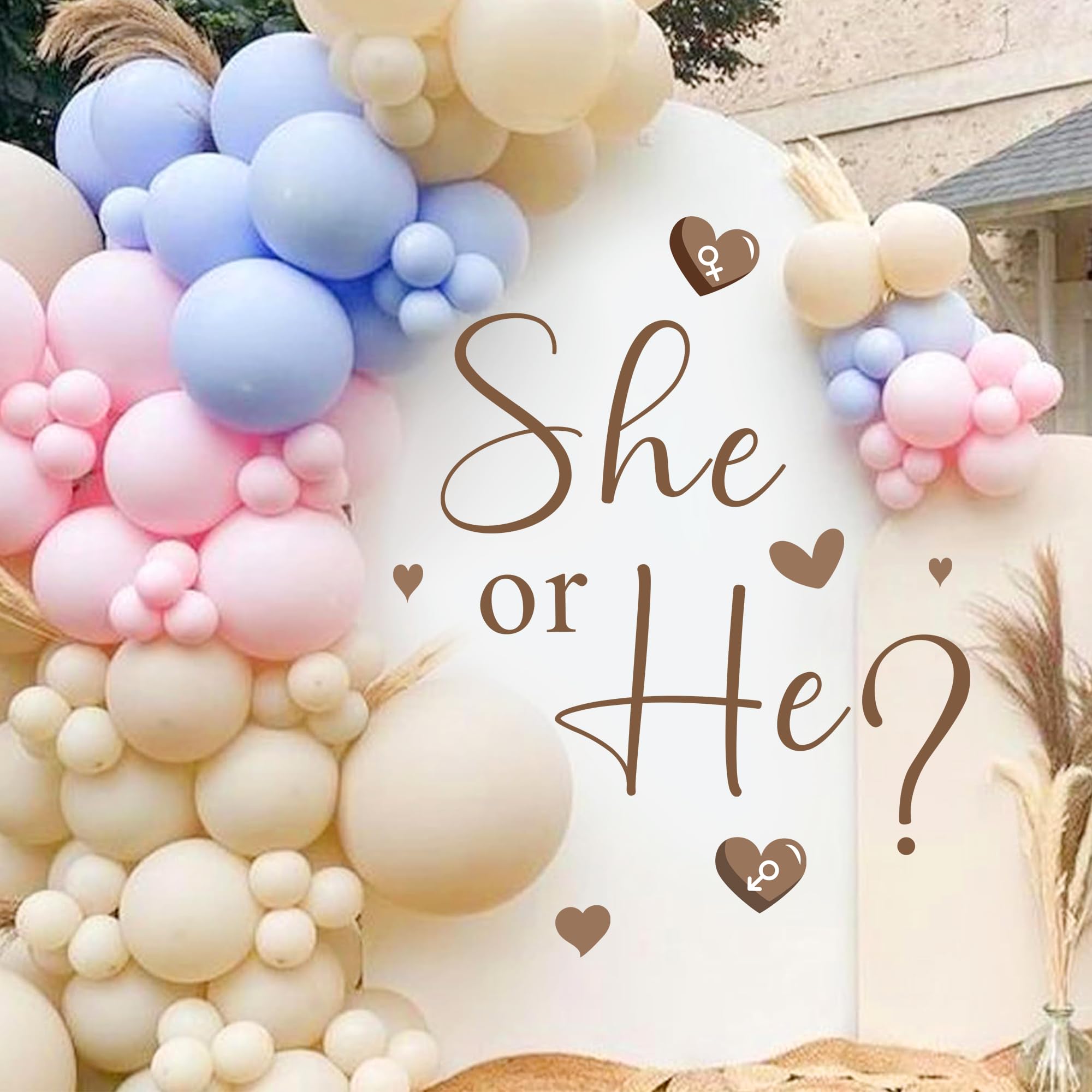 He Or She Decorations Gender Reveal Sign For Balloon Arch Baby Gender Party Decorations Baby Shower Party Sign Backdrop Decal Gi