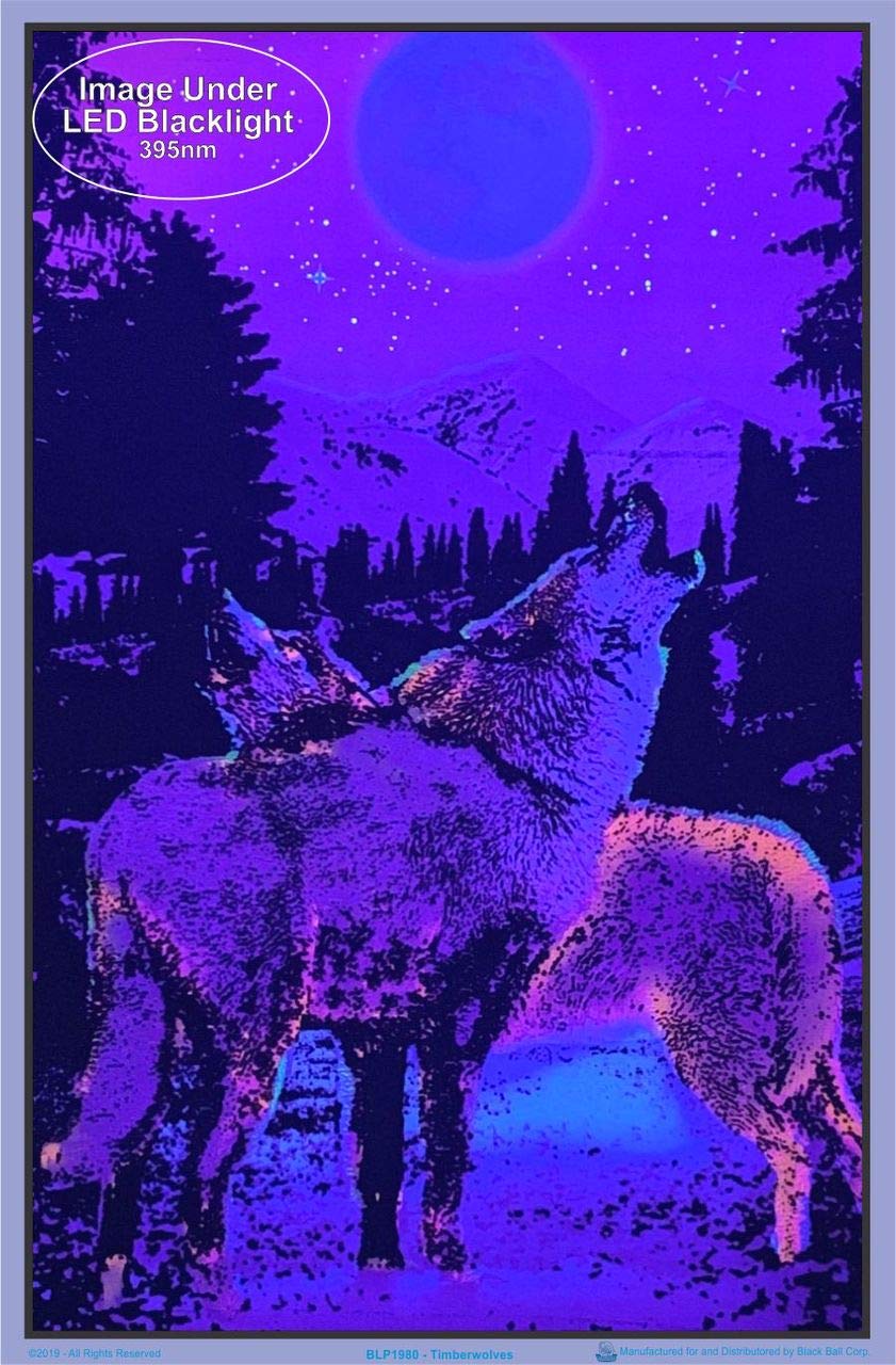 Timberwolves Howling At Moon - Laminated Blacklight Poster - 23.5'' X 35.5''