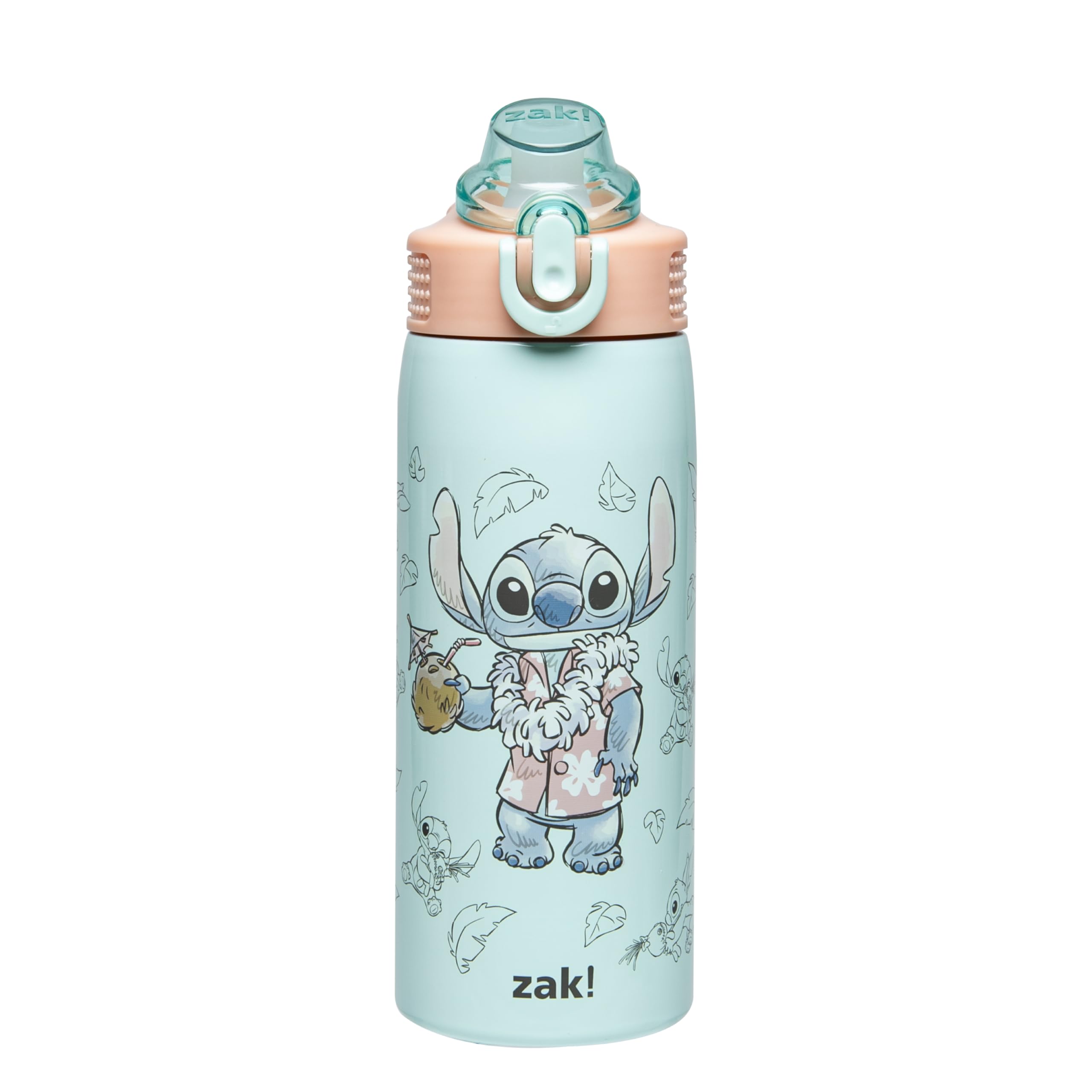 Zak Designs Disney Sage Kids Water Bottle For School or Travel, 19oz Stainless Steel Water Bottle With Straw, Handle, and Leak-P