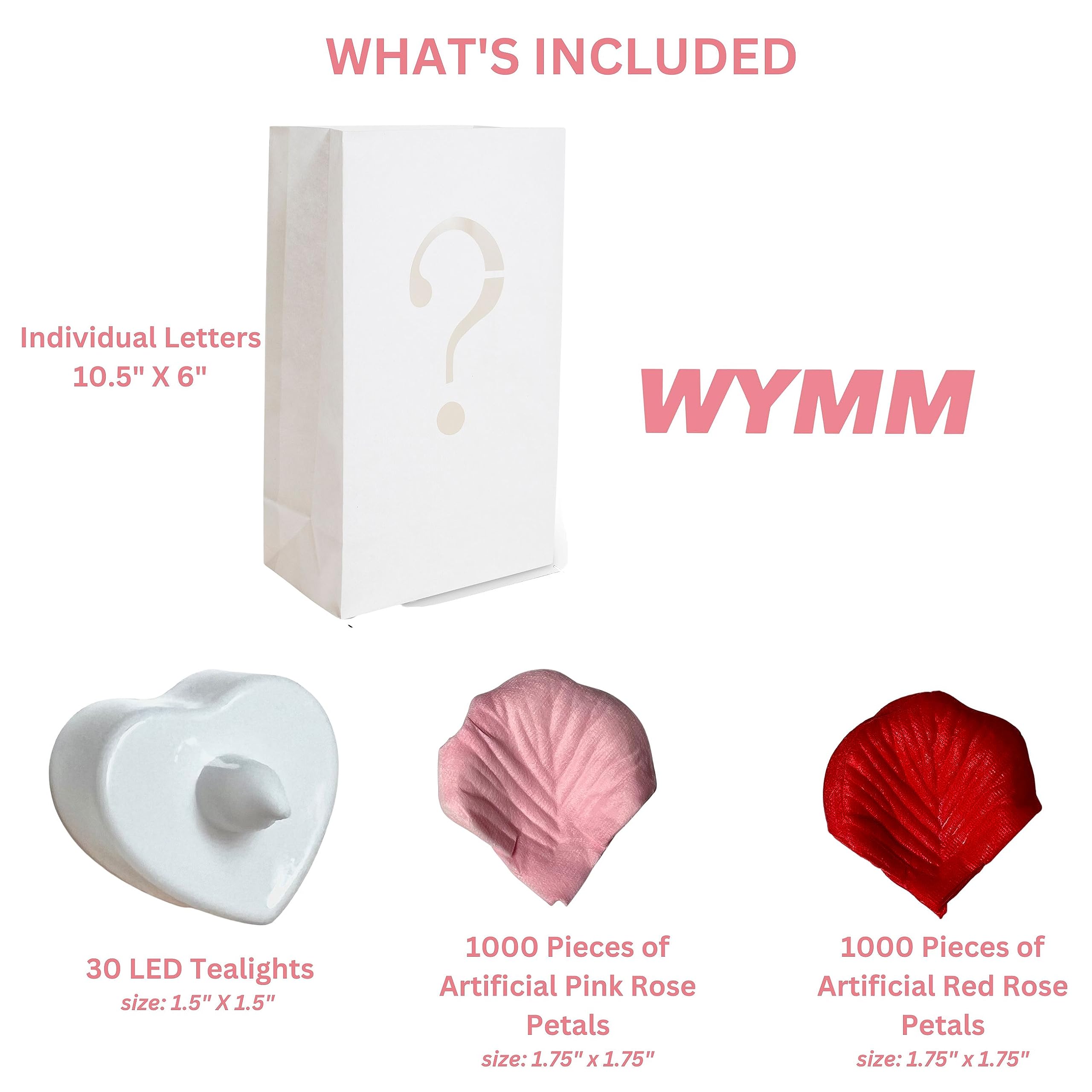 WYMM Feliz Cumpleaos Happy Birthday Light Up Letters in Spanish - Luminary Bags Happy Birthday Decorations with Tea Lights Candl